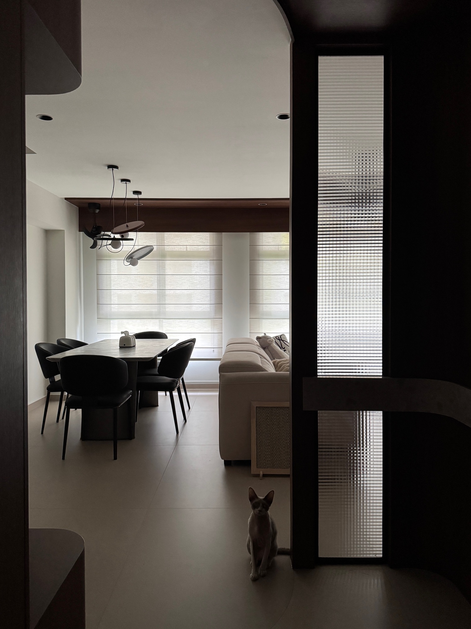 Introducing-part-of-our-space-that-we-share-with-our-pet-cat-💖🐈‍⬛