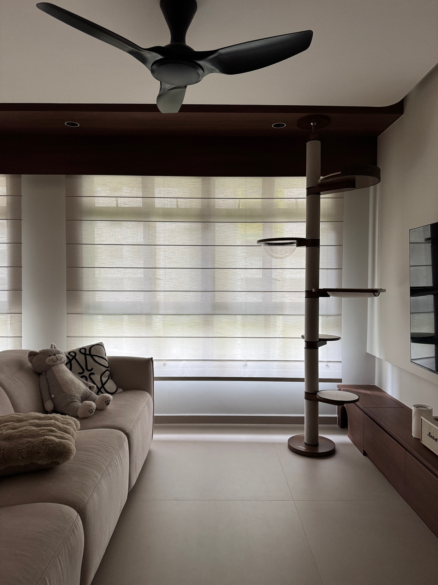 Introducing part of our space that we share with our pet cat 💖🐈‍⬛