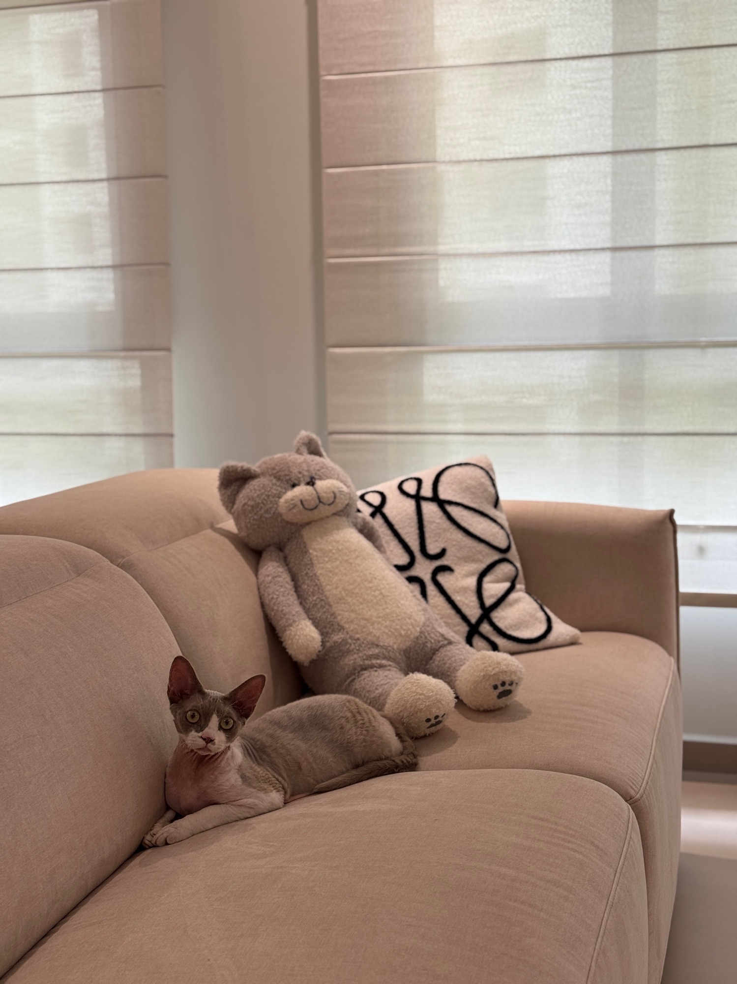 Introducing part of our space that we share with our pet cat 💖🐈‍⬛