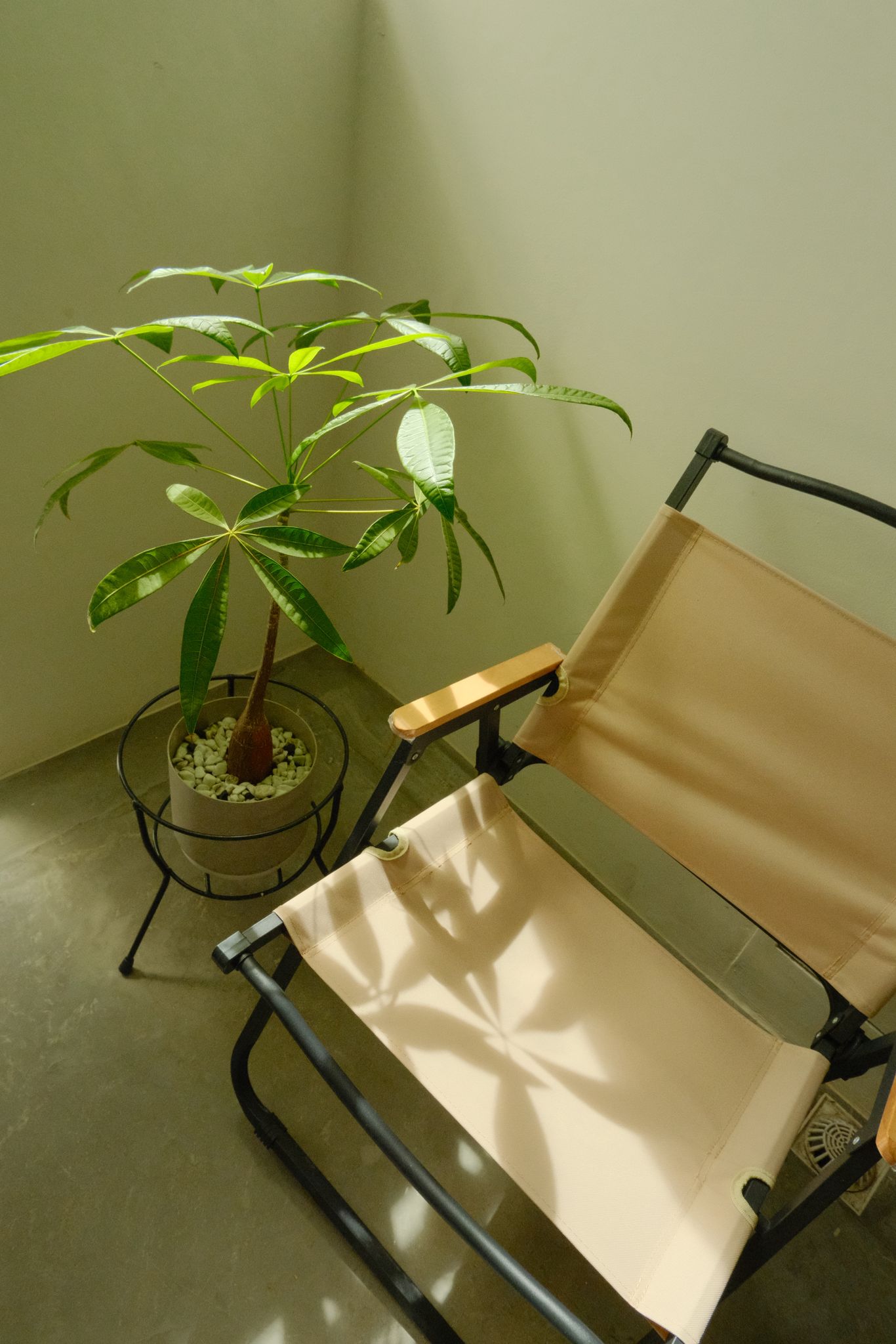 A Look Beyond Our Front Door!