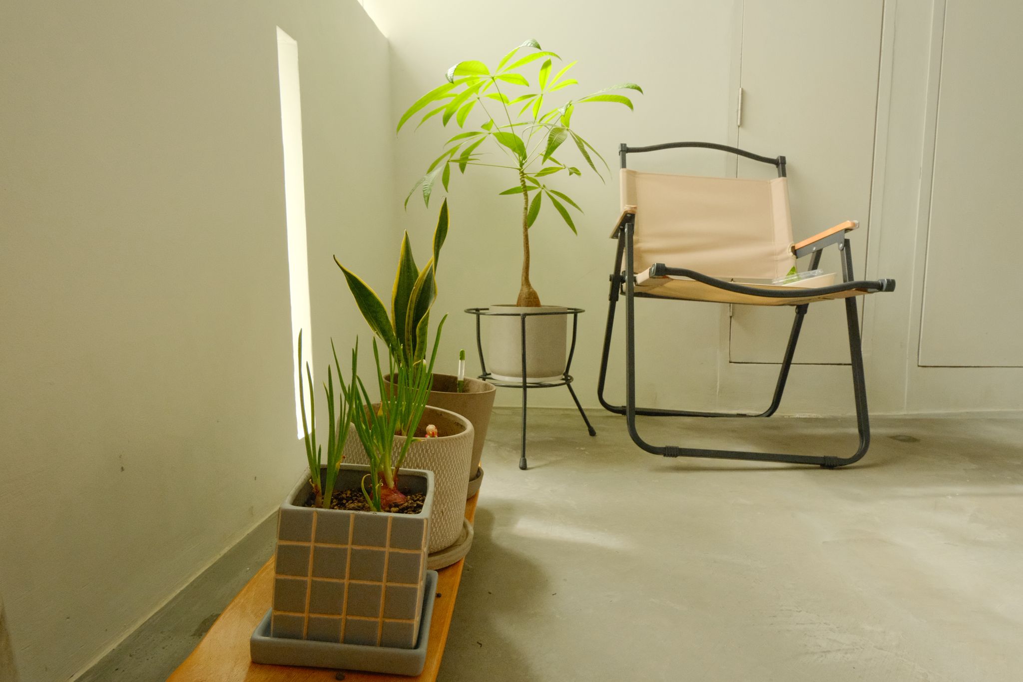 A Look Beyond Our Front Door!