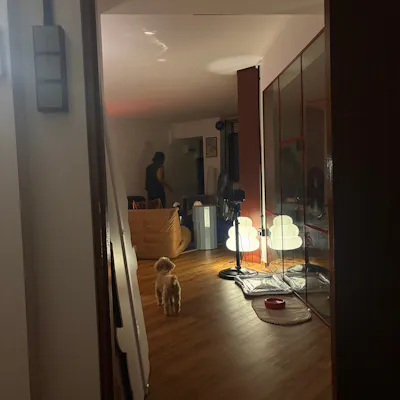 Customer home photo 1: Dopey’s life update!