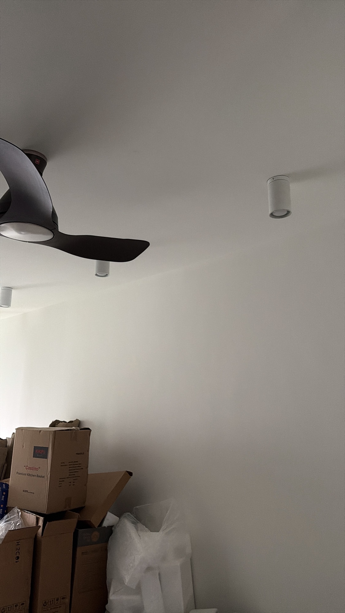 Reno-Dairies:-Part-2