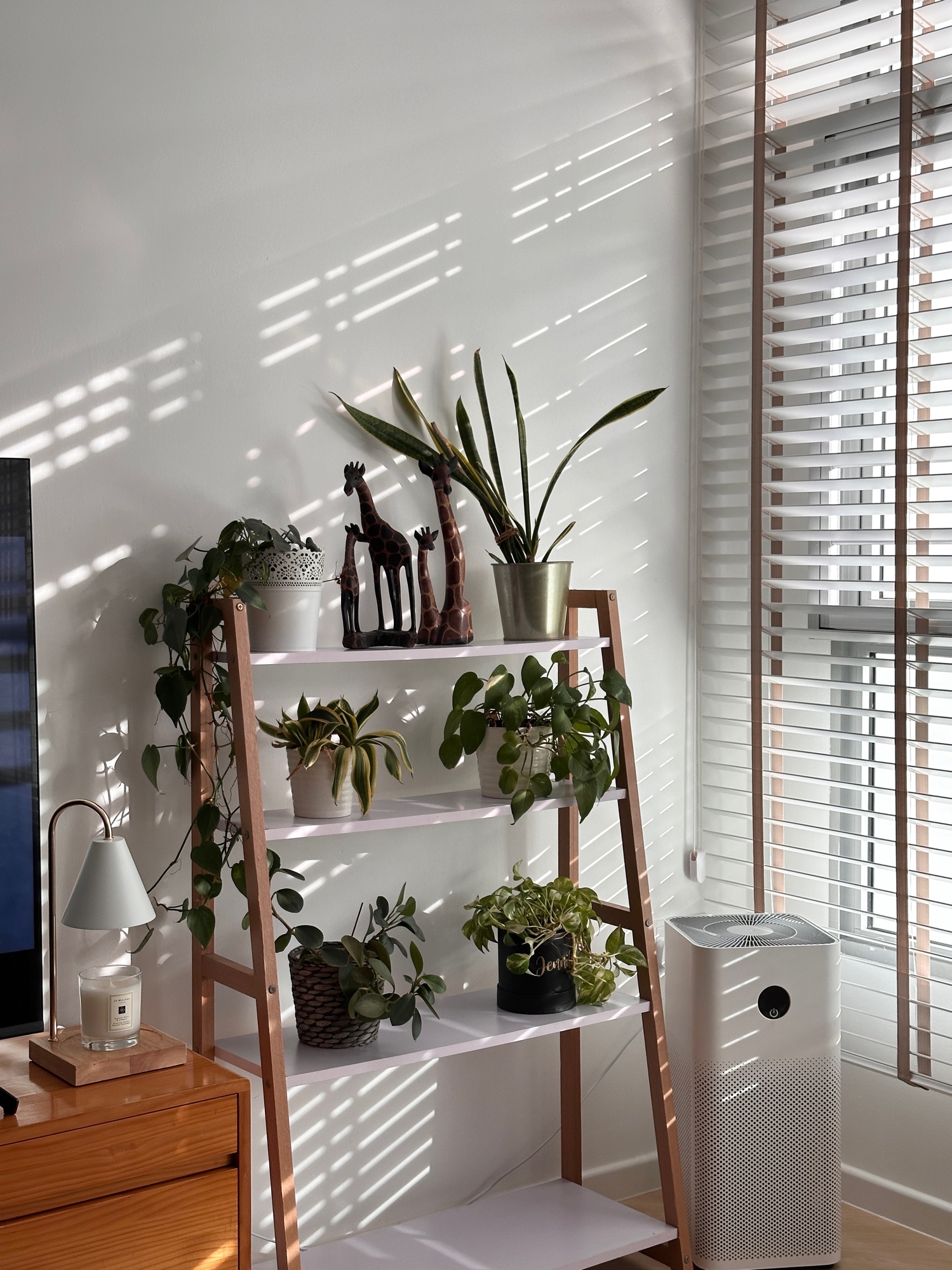 House tour of our budget friendly reno resale house