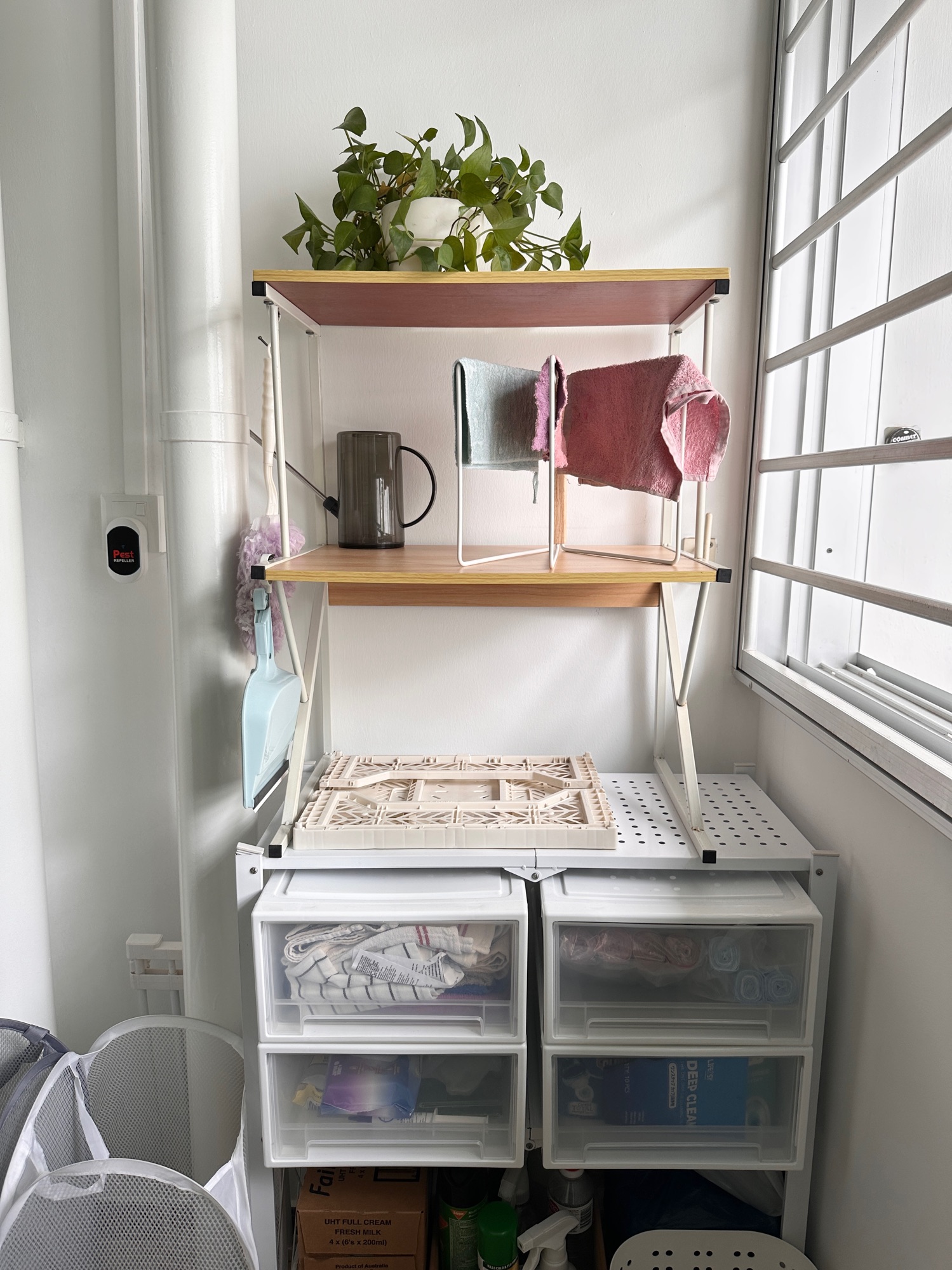 Service Yard glow up!