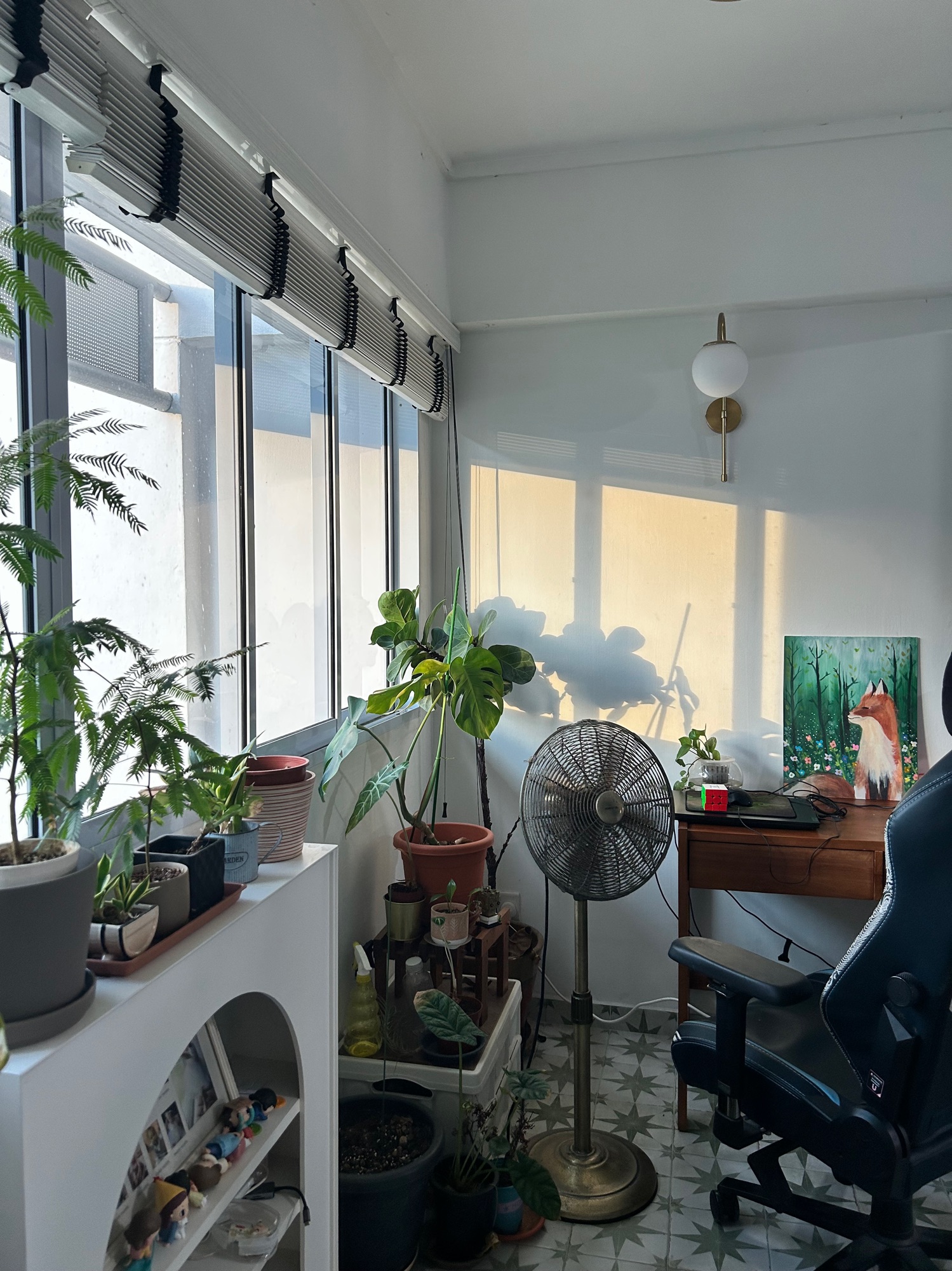 Indoor-plants-you-can-consider-to-bring-life-to-your-home-(part-1)-