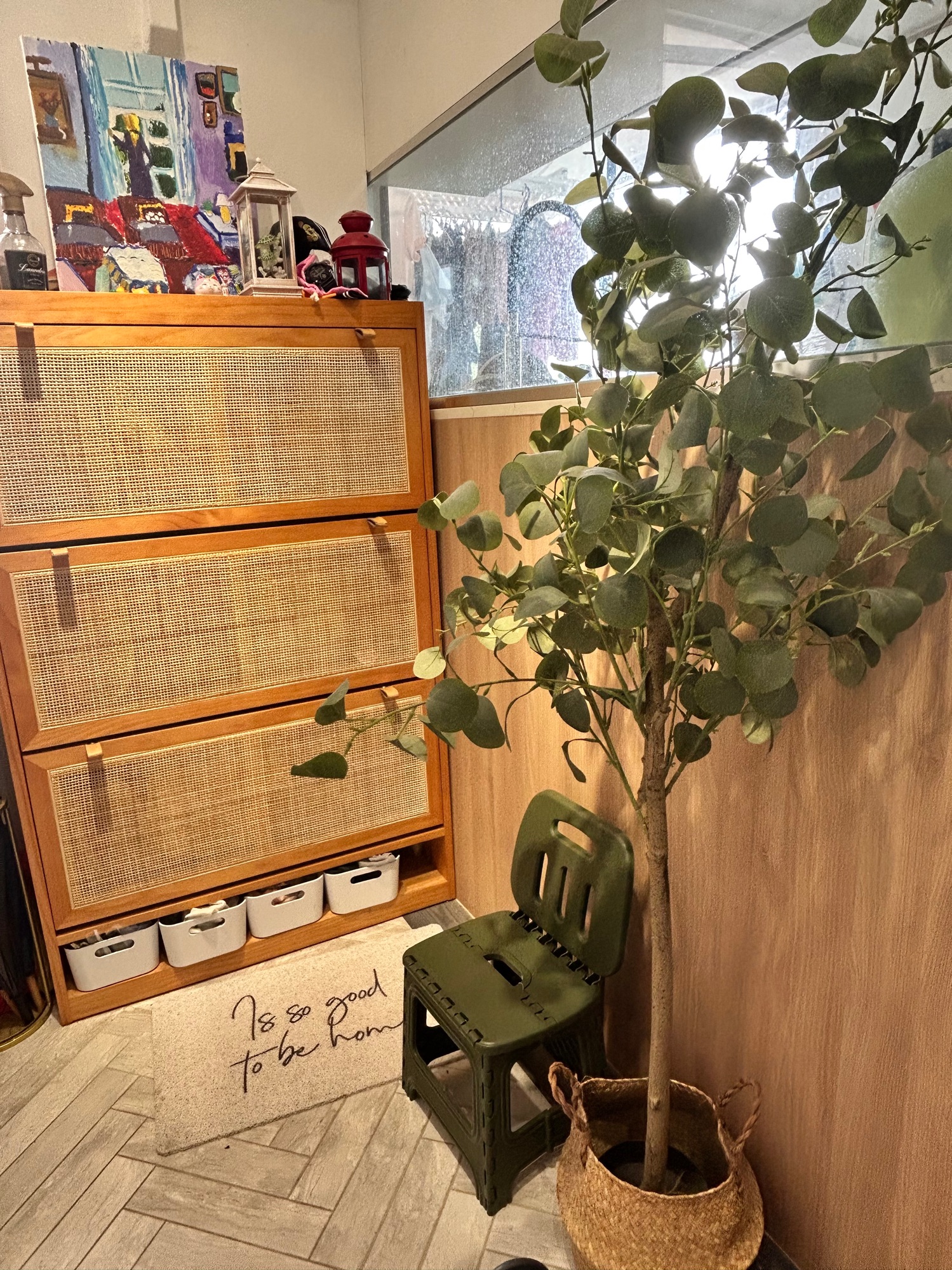 Indoor plants you can consider to brighten up your space (part 2)