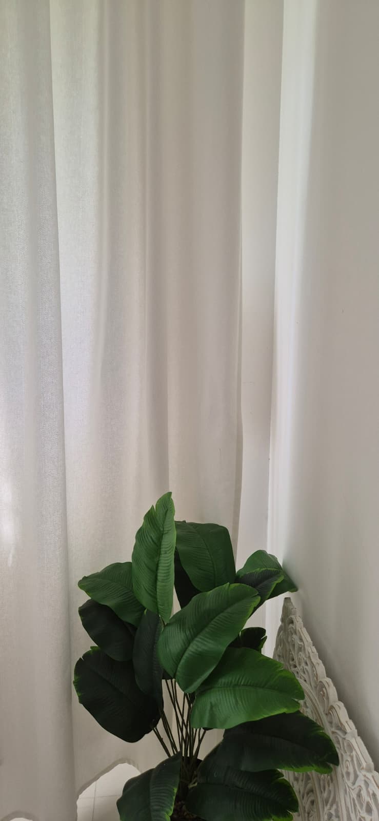 Our-haul-from-Hipvan