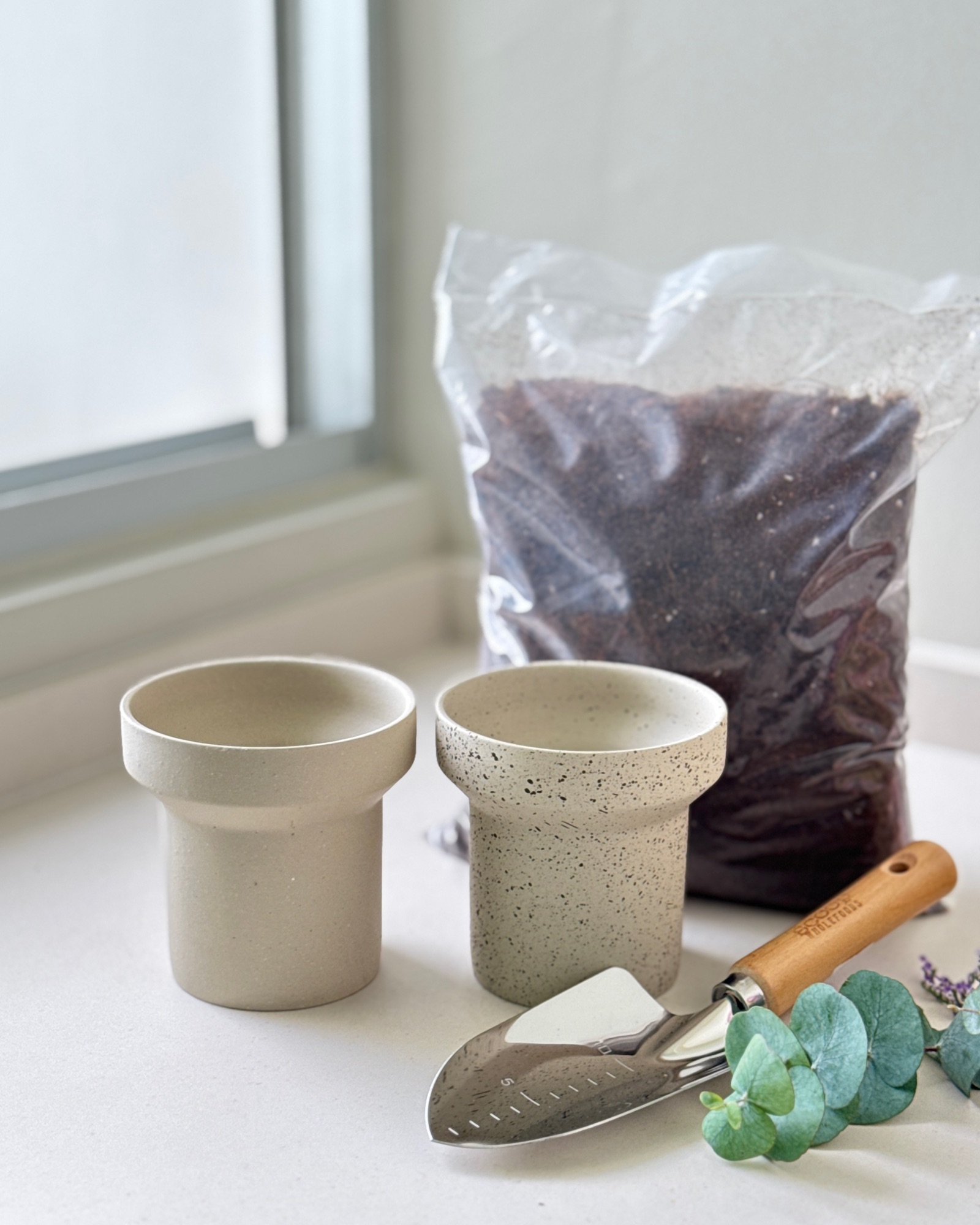 A-Quiet-Refresh-in-Our-Green-Corner-🌱