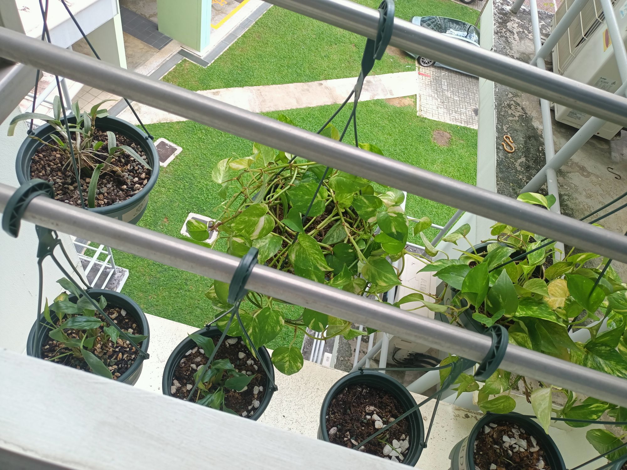 There's always space for plants!