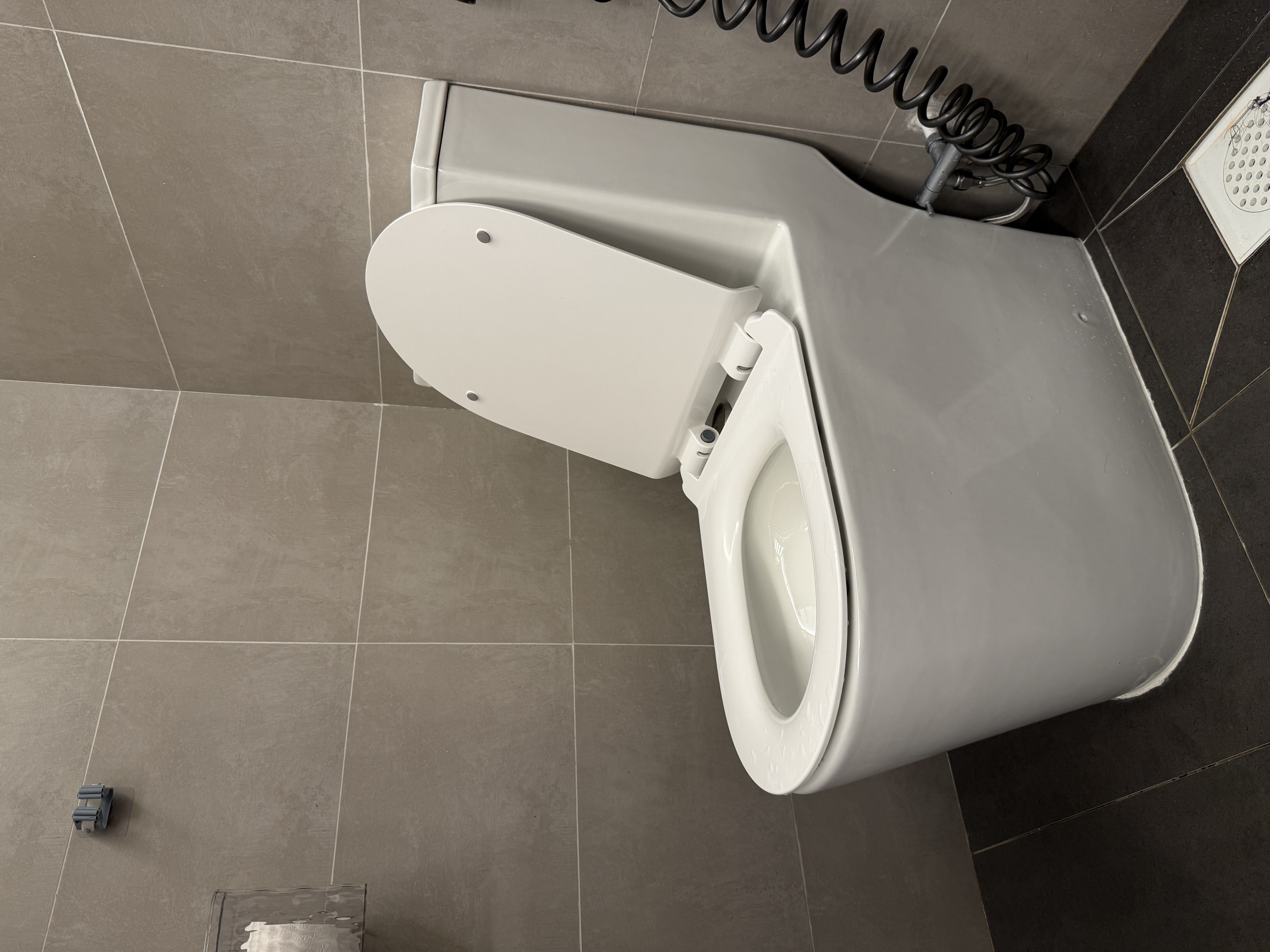 We Finally Changed Our BTO Toilet Bowl After 1.5 Years