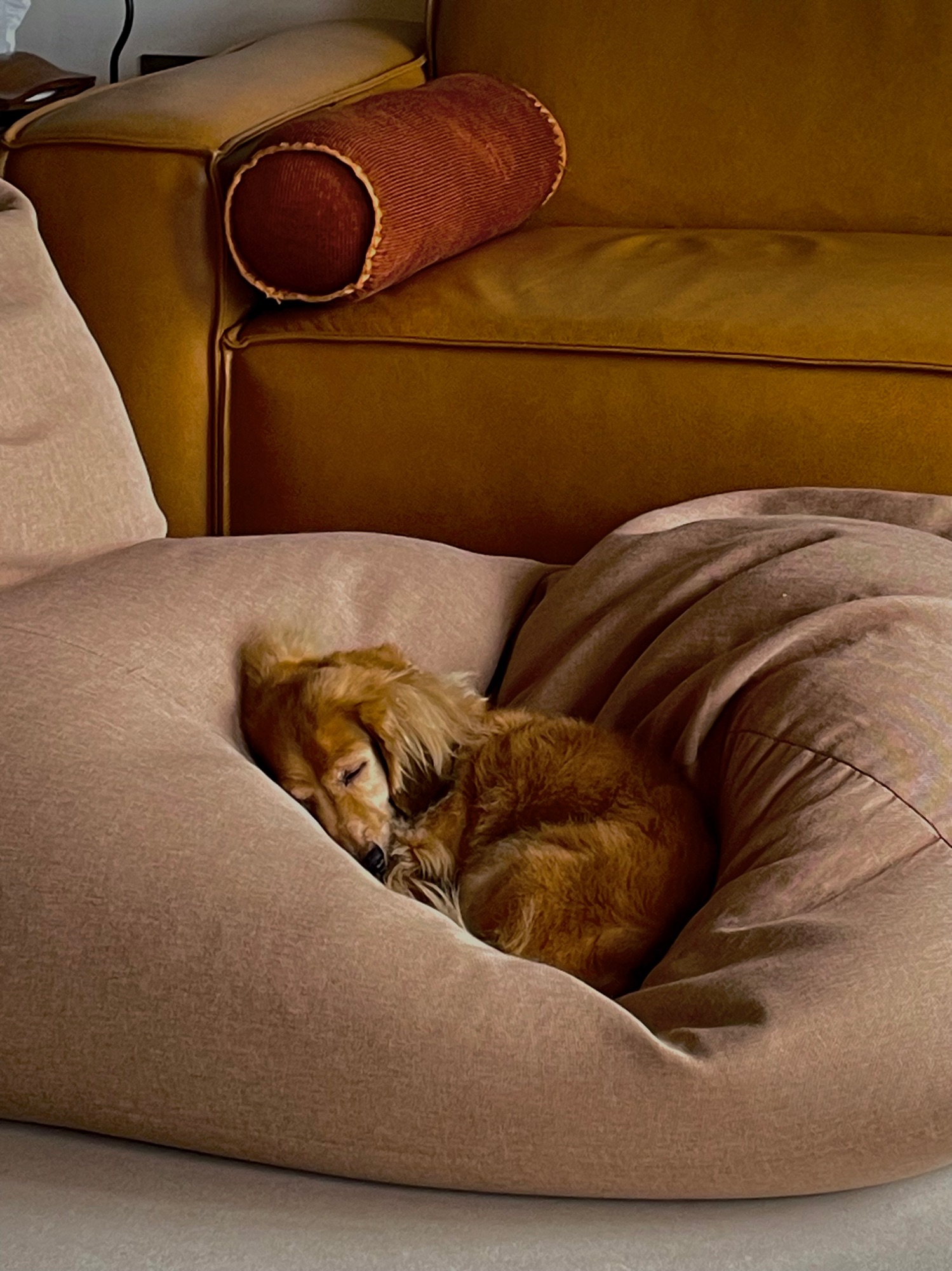 The-piece-that-anchored-our-home-🏠