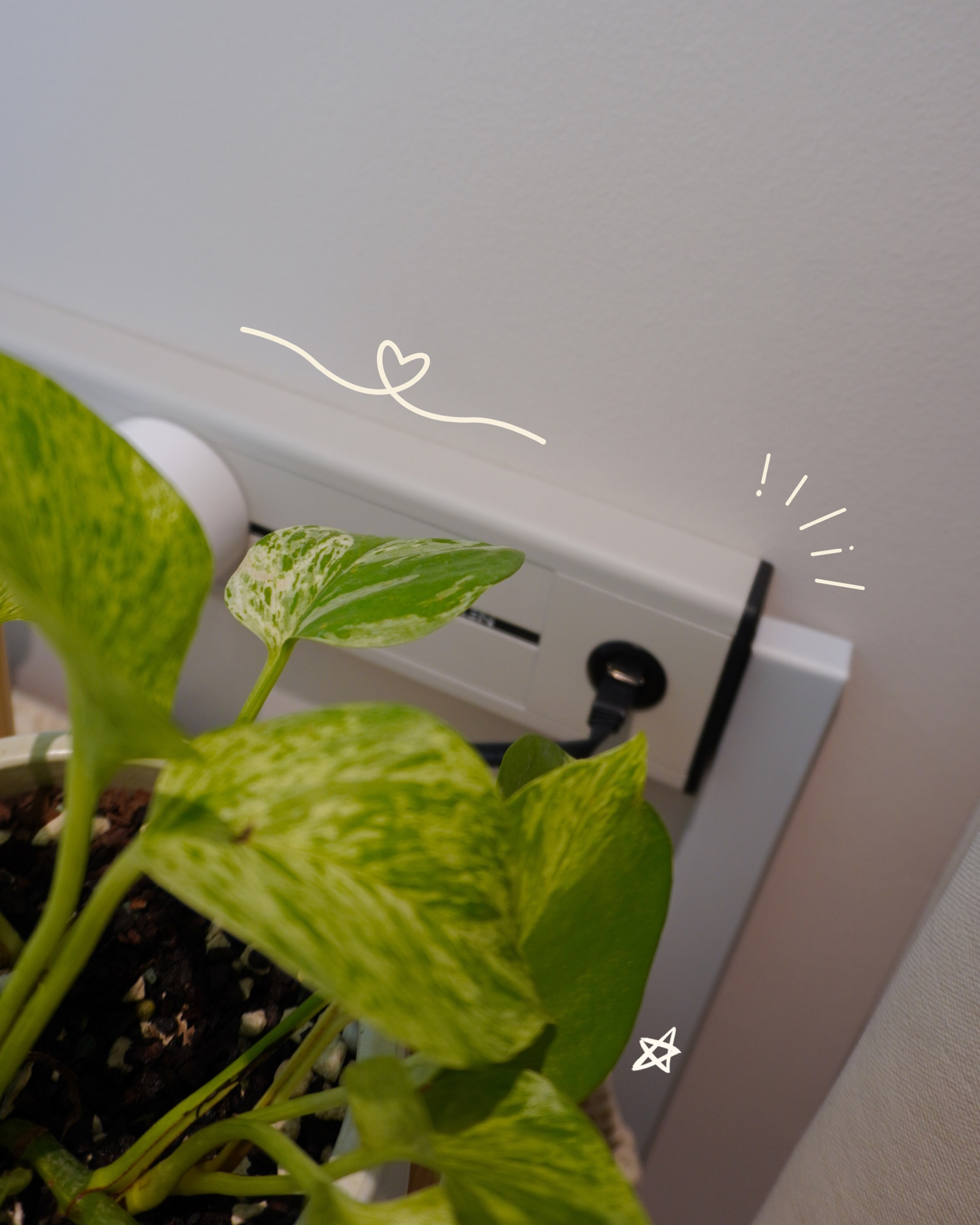 Details of our NEXEN Power Track