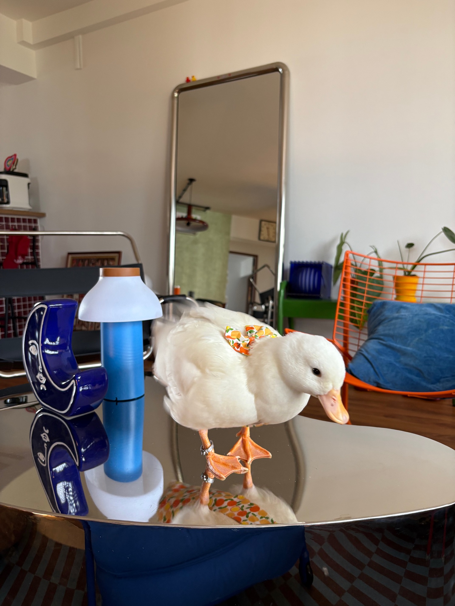 Inconveniences we accepted for an aesthetic home