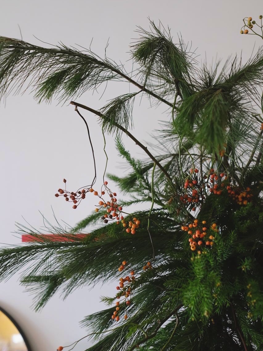 Calling all colour lovers & searchers -