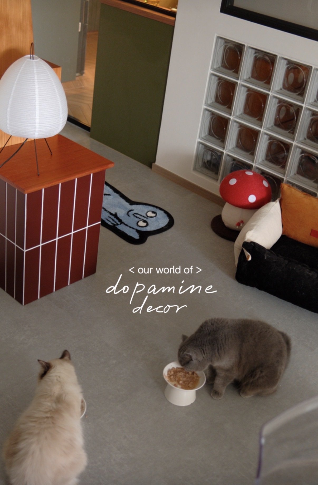 Colorful-Dopamine-Decor-🌈