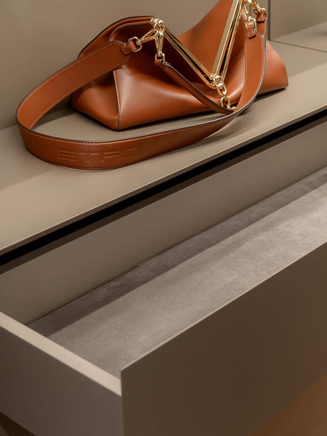 Stylish carpentry ideas for living room & walk in wardrobe