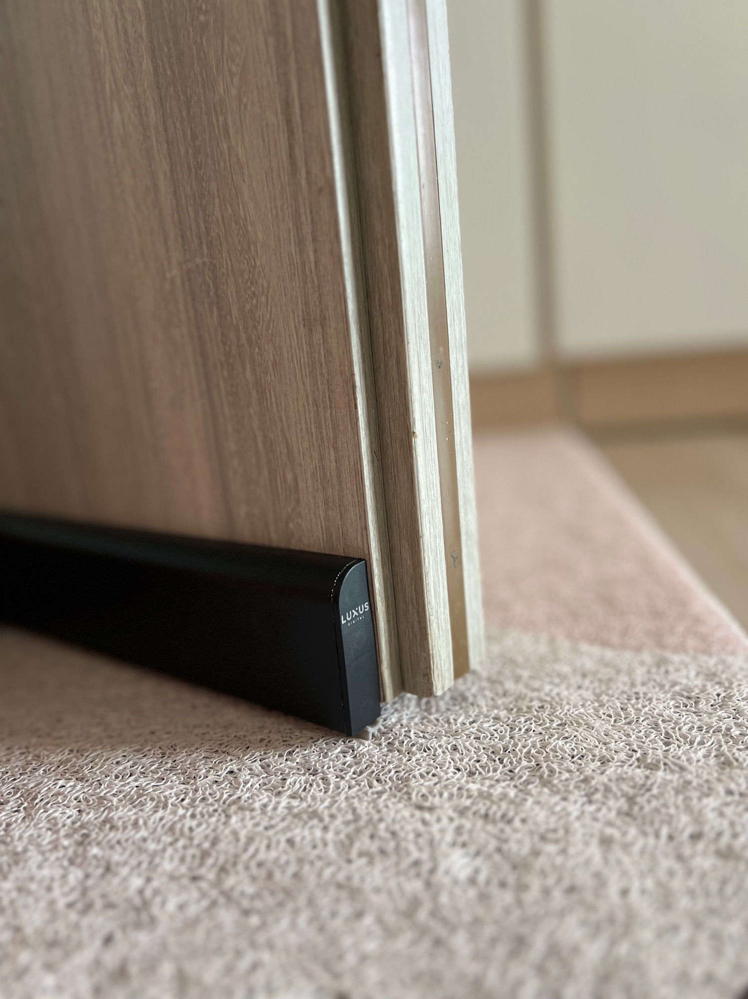 how we keep our entryway pest-free!!!