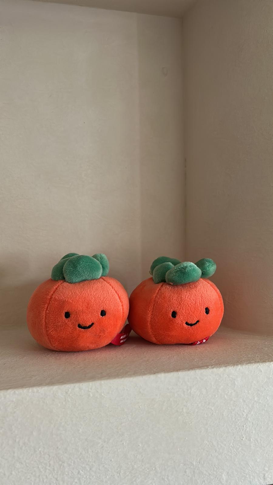 New Year, New Plant!