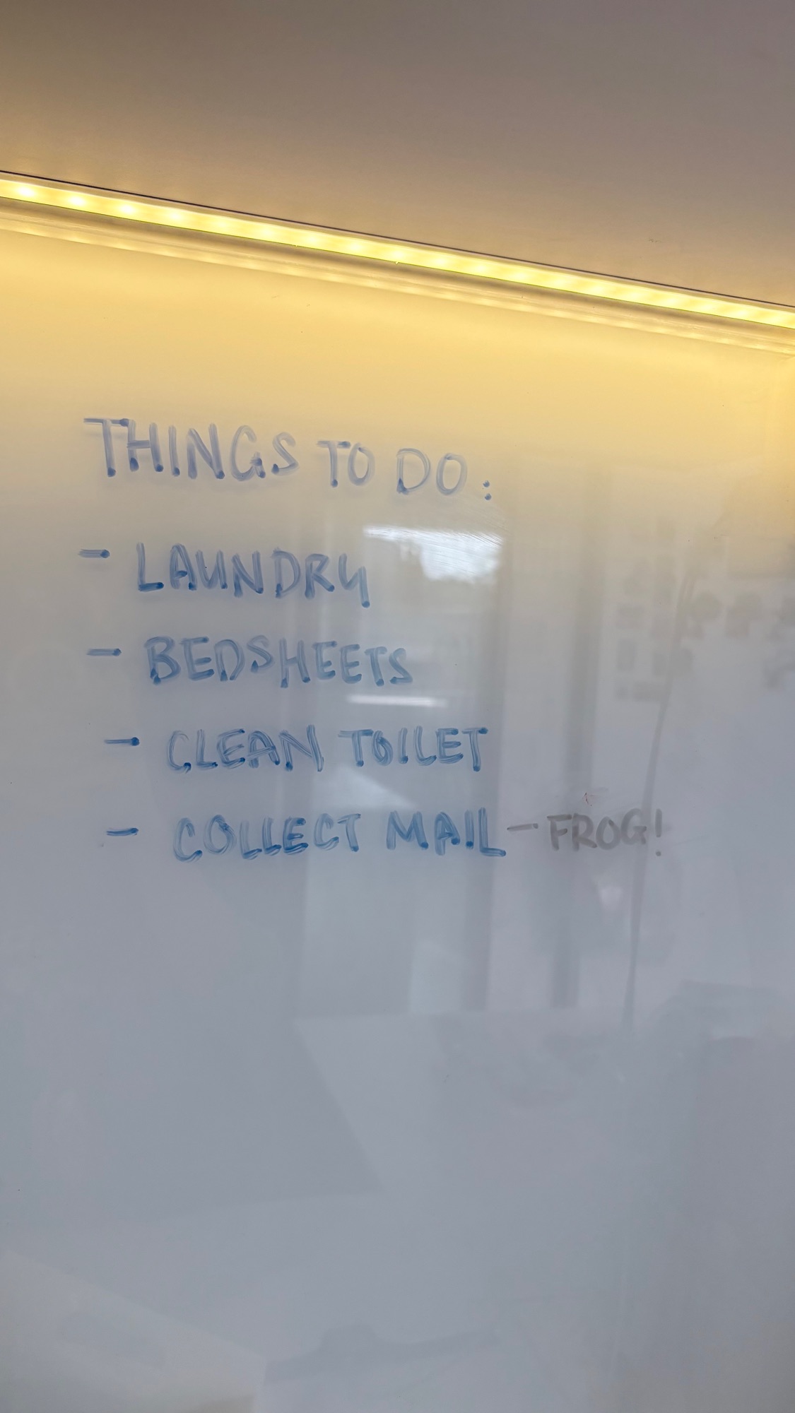 Backsplash dilemmas? Here’s why we chose ours