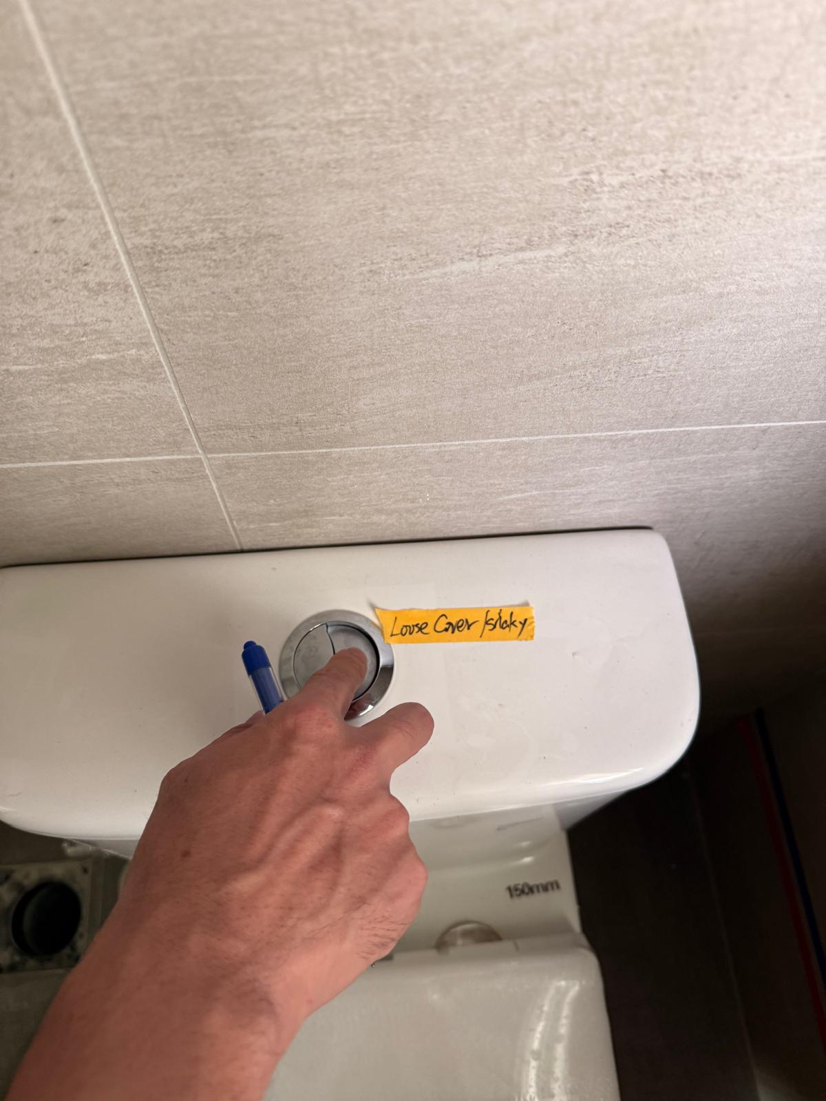 Defect Check is highly recommended, here's why!