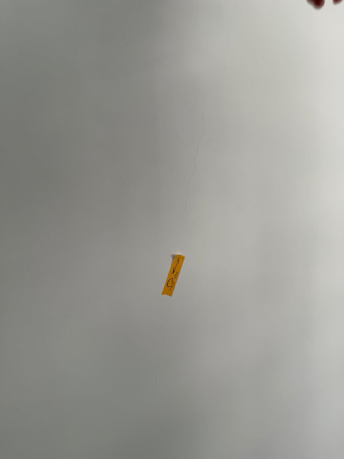 Defect Check is highly recommended, here's why!