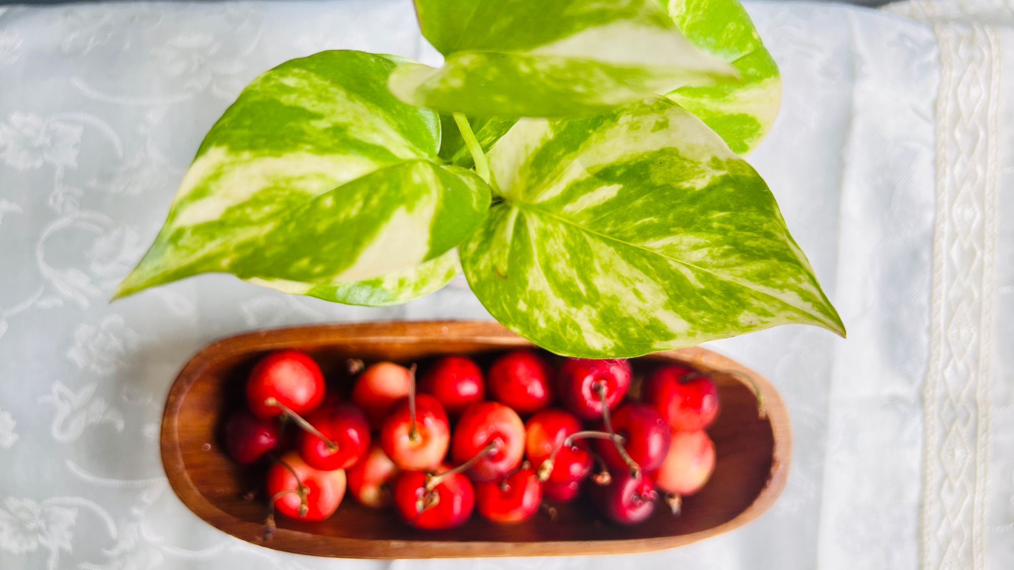 Wood, Fruit & a Moment of Calm