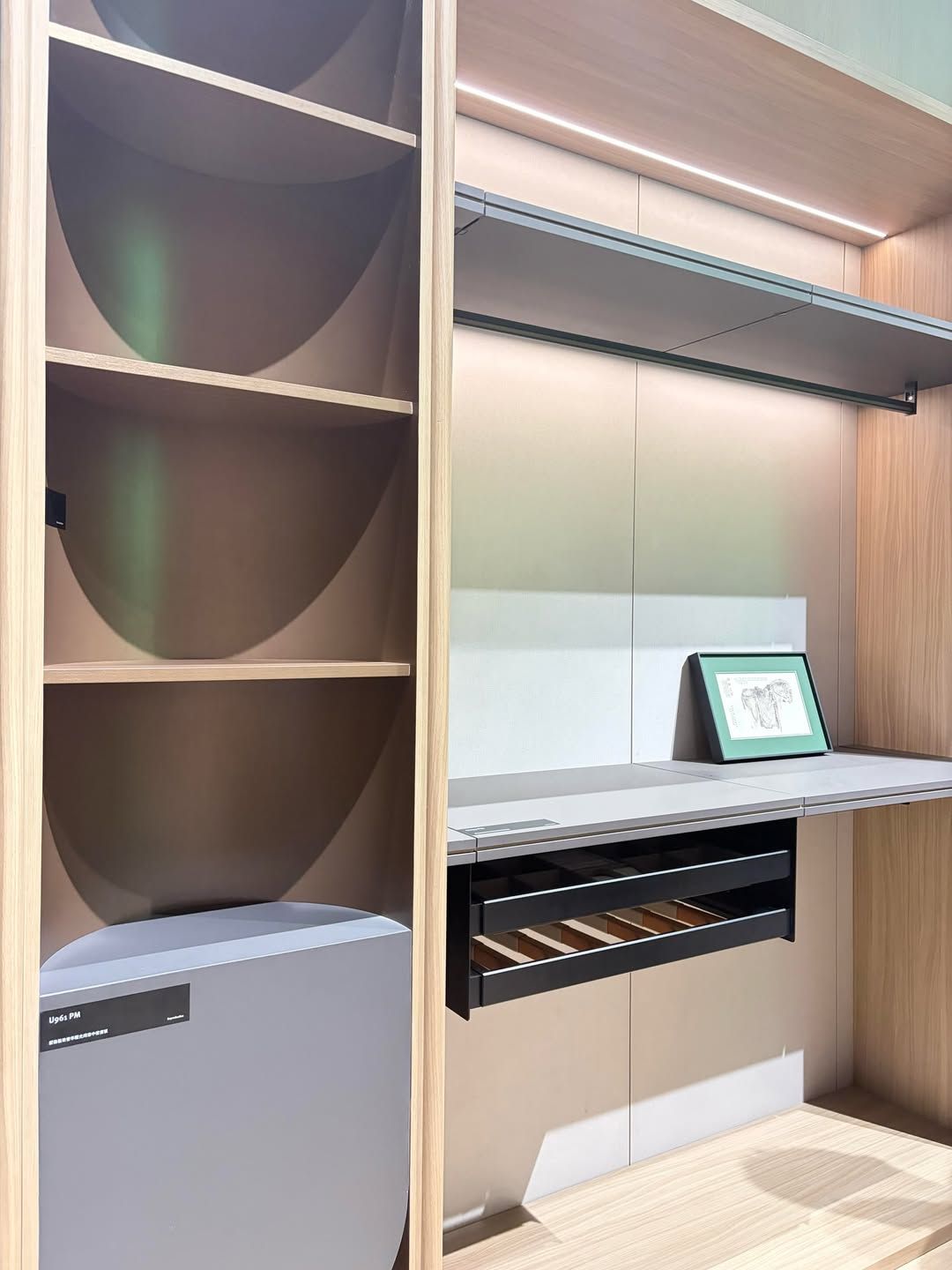 Luxurious lighting & carpentry design