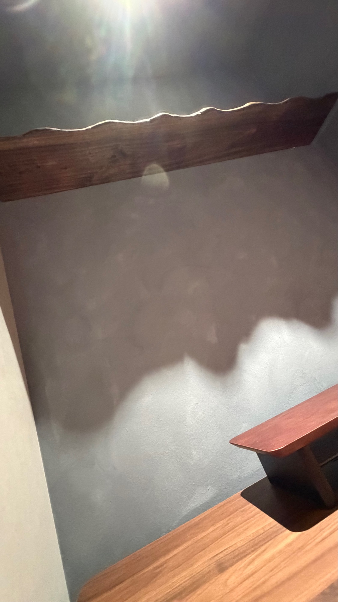 Claude Monet on my Display Shelf?? 🤩