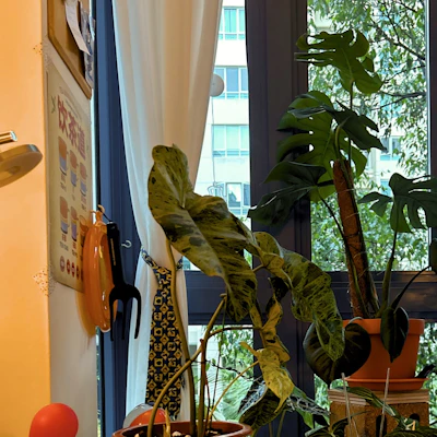 Customer home photo 2: Part of a home