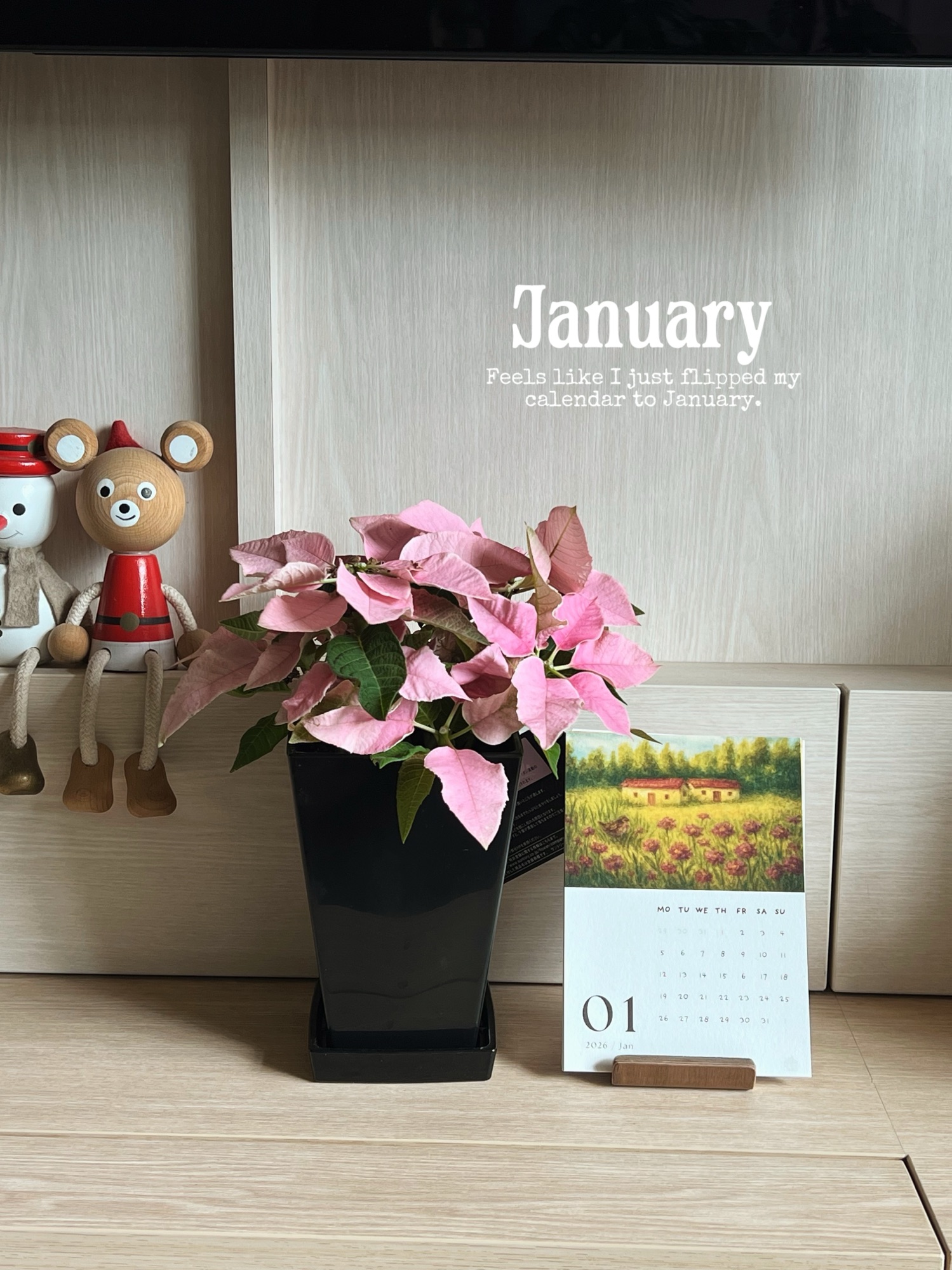 January passed in a blink😅