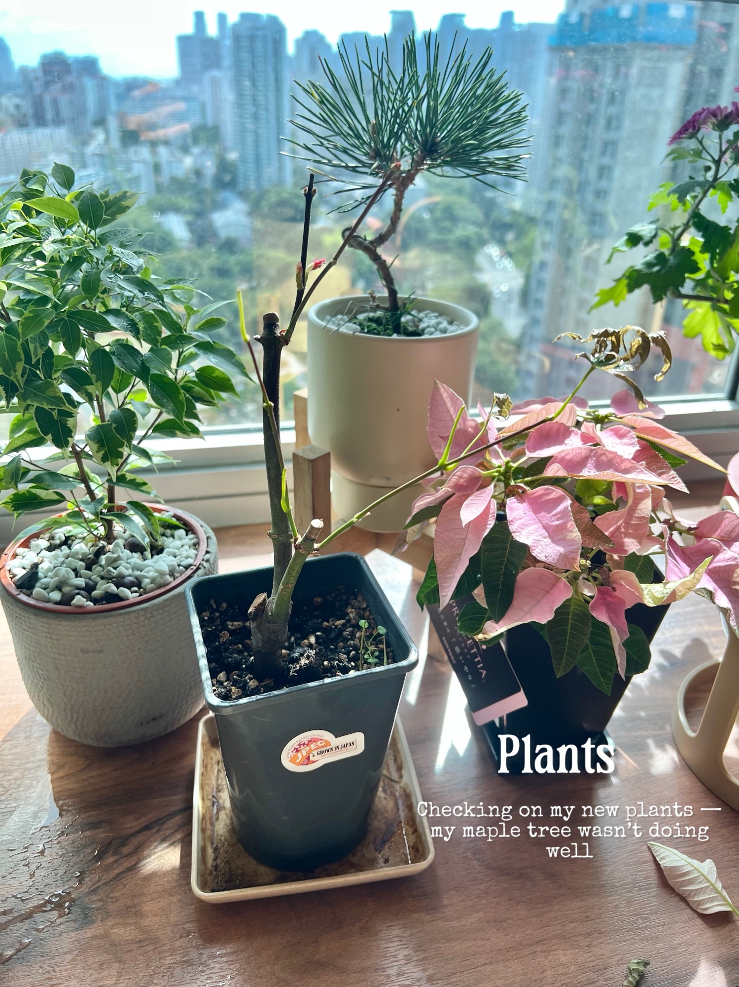 January passed in a blink😅