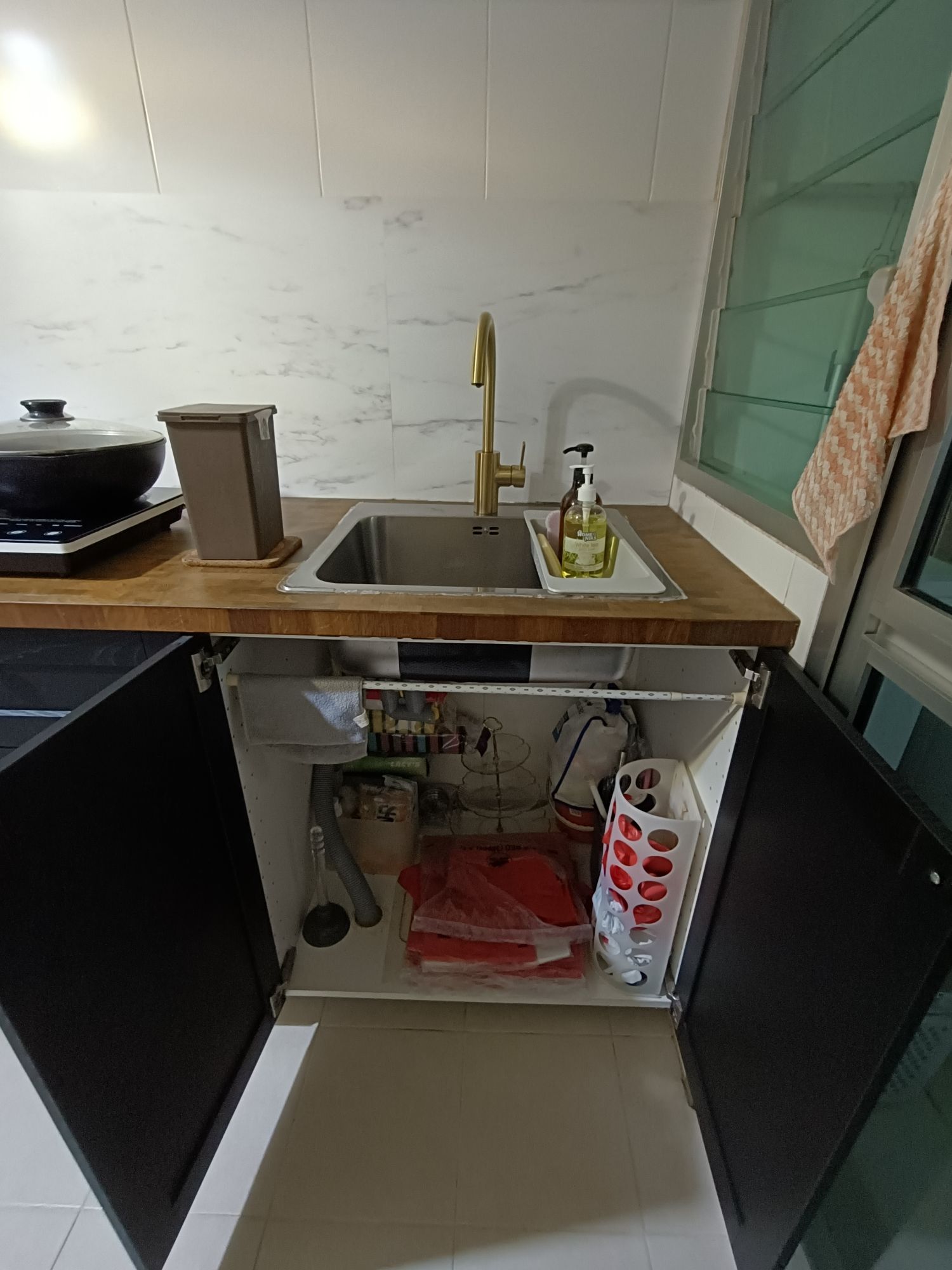 Not so nice view of the kitchen plus undersink storage