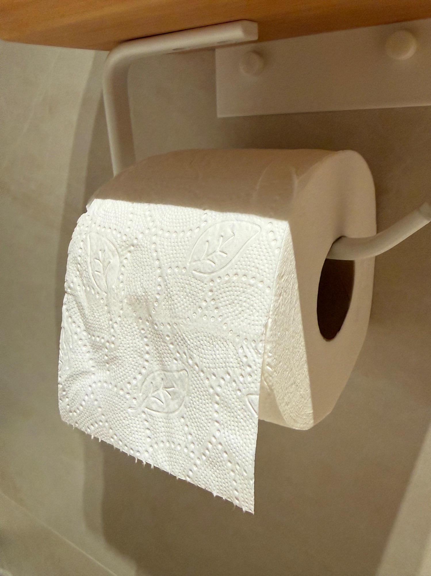 Toilet paper review no one asked for 🧻