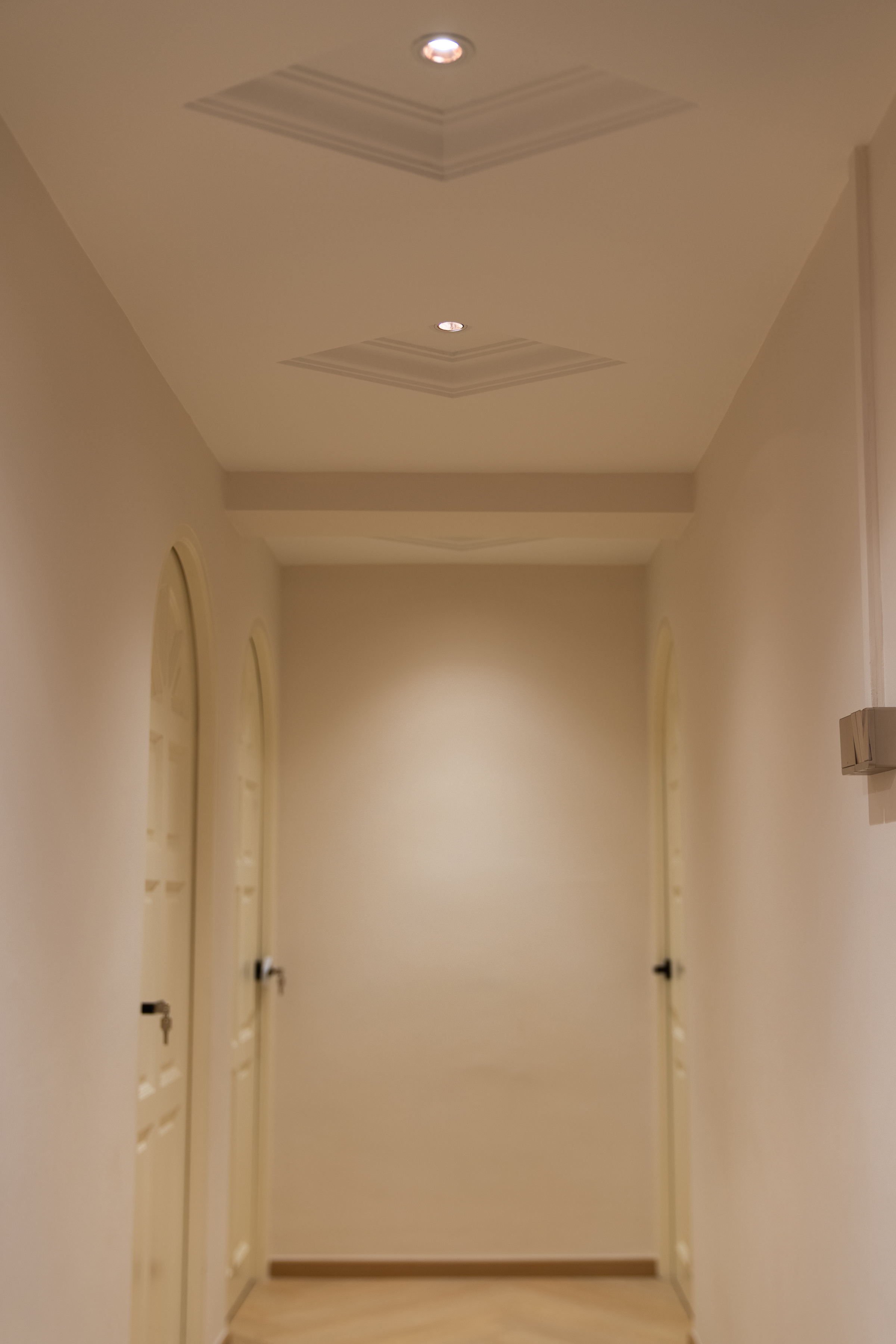 Petir Road @ Bukit Panjang