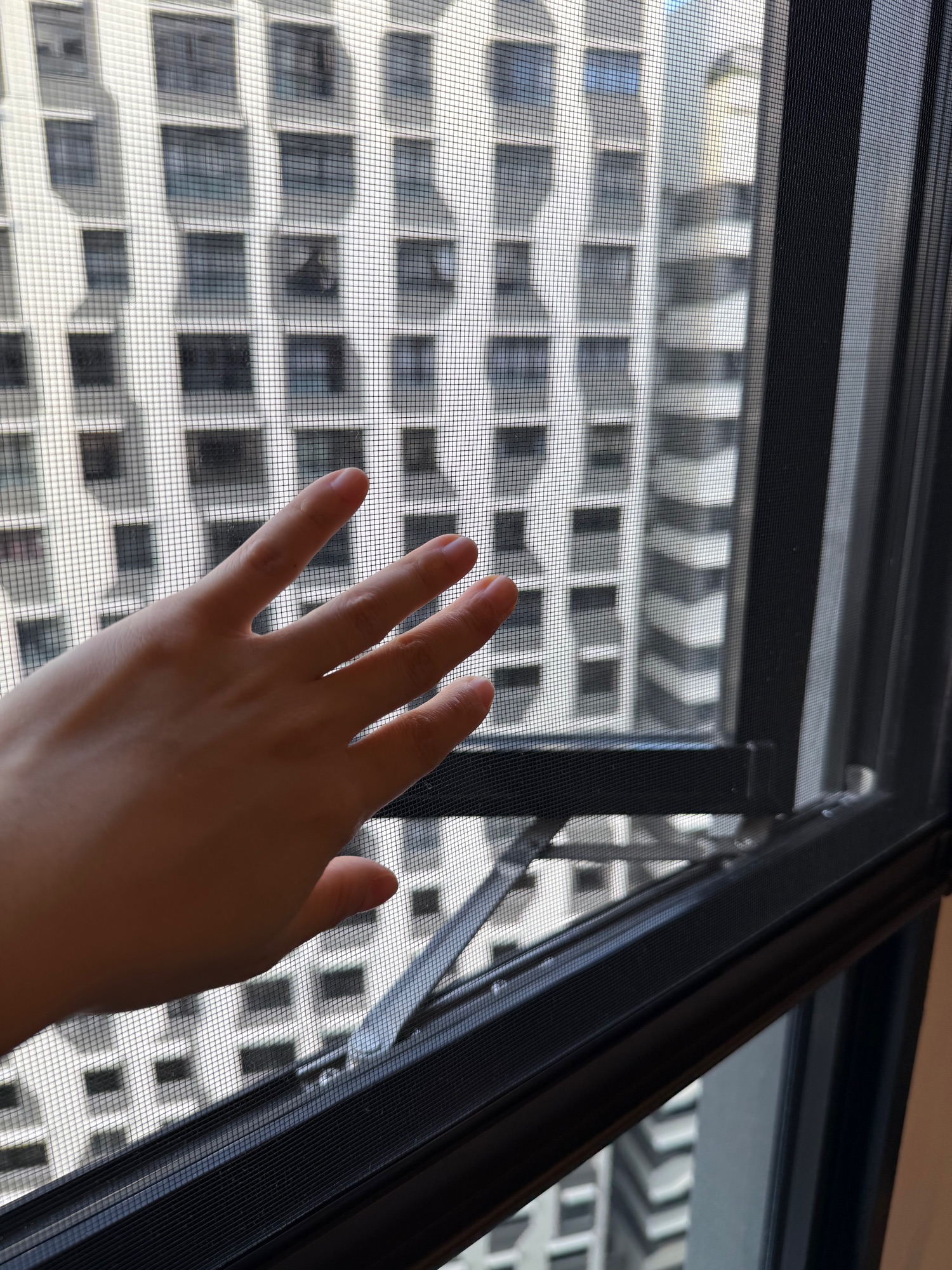 Making our home insect proof 🚫🐜