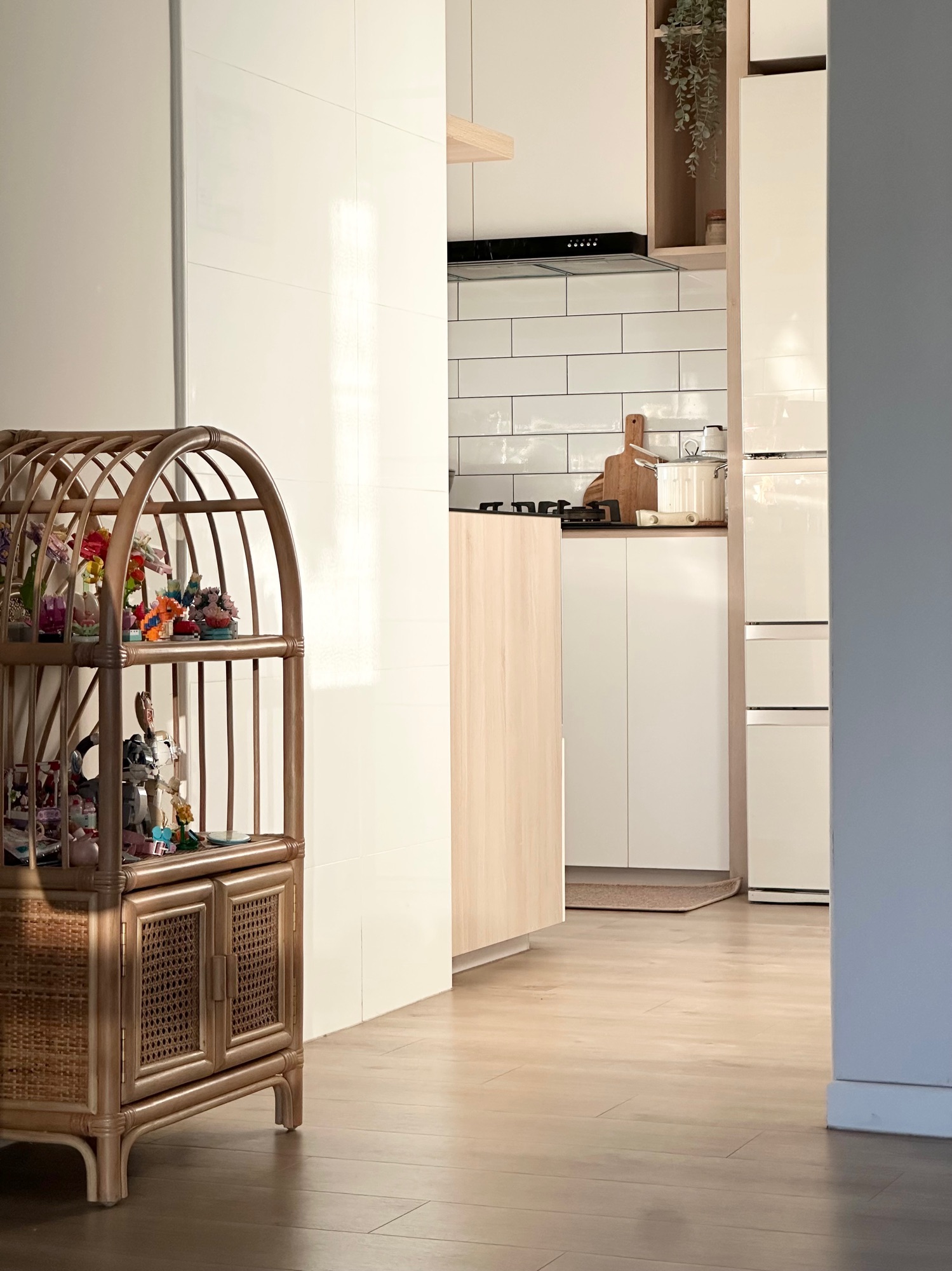 A little Living & Dining Room glow up after 3 years🍃✨