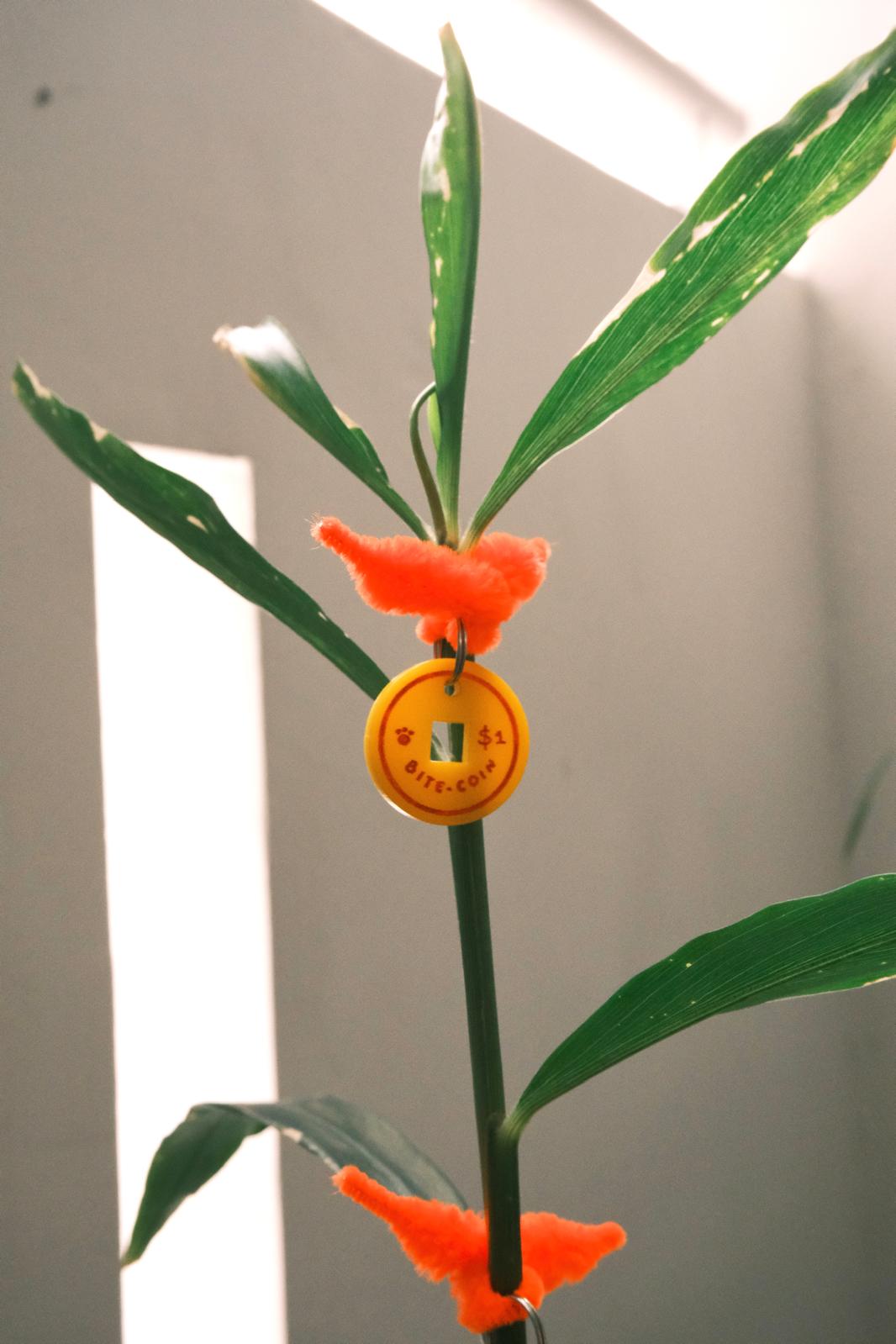 Plants gotta dress up too!