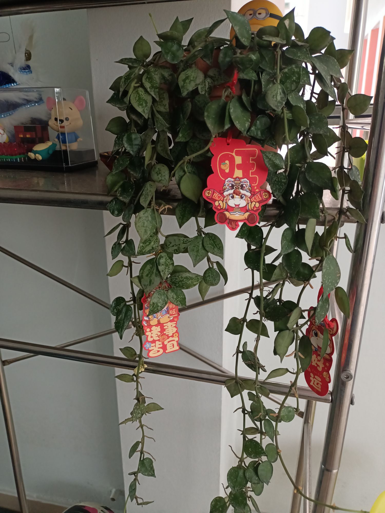 Little things we did for CNY vibe