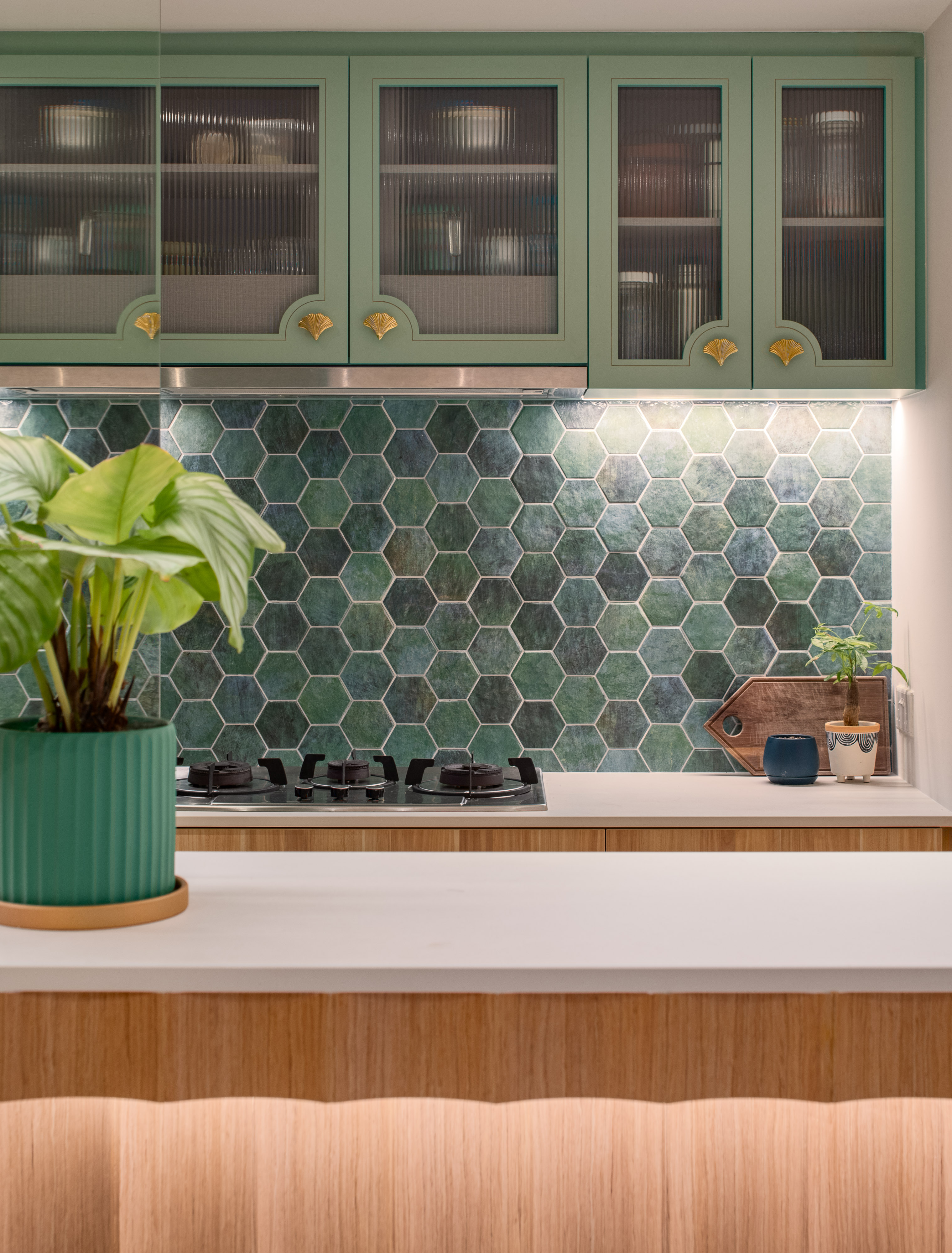 Cat-friendly & Coastal Eclectic : An immersive experience