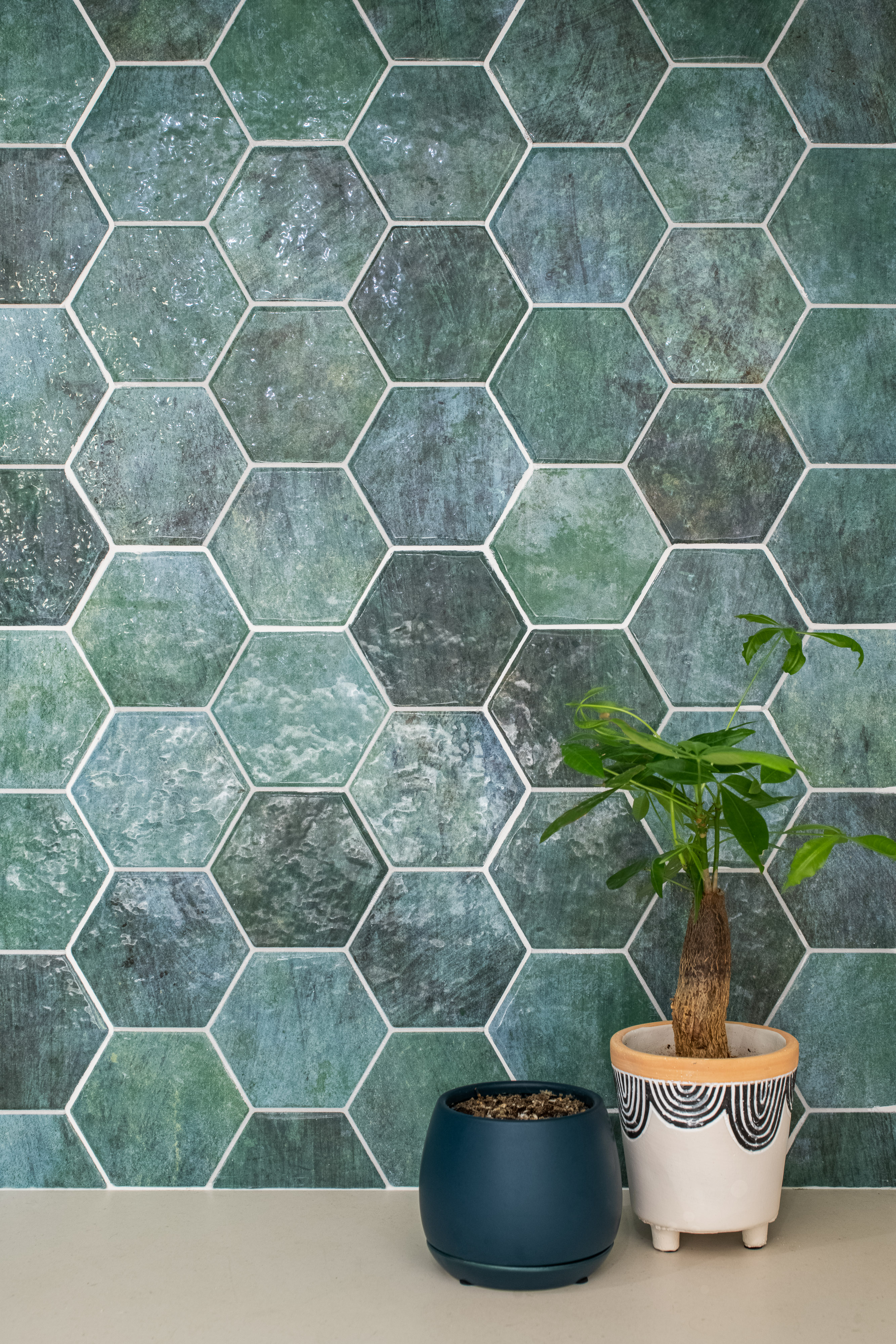 Cat-friendly & Coastal Eclectic : An immersive experience