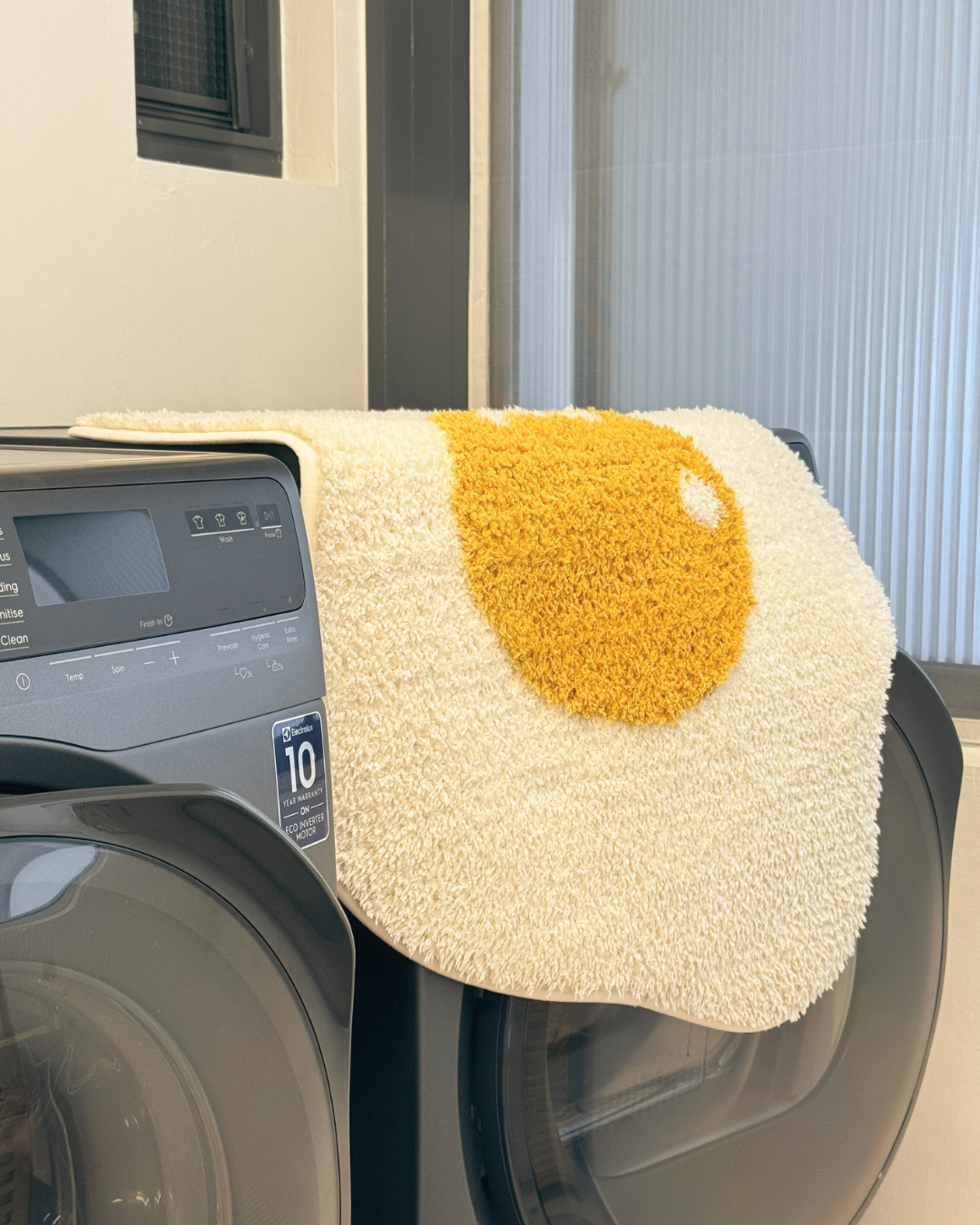 Carpet Cleaner Under $100