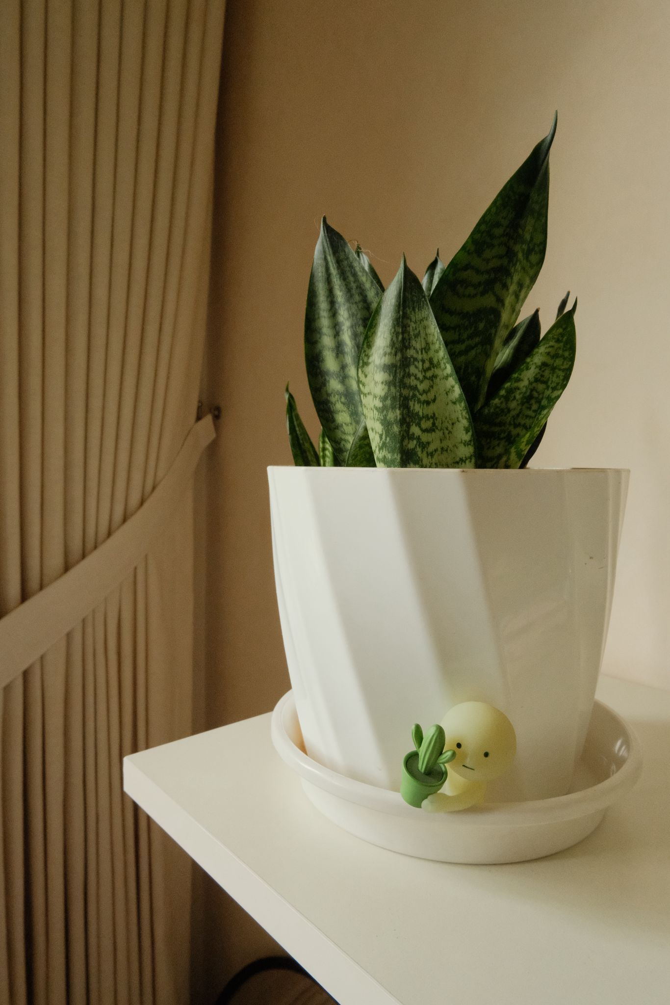 Favourite Buy from HipVan: Bauhaus Display Shelf