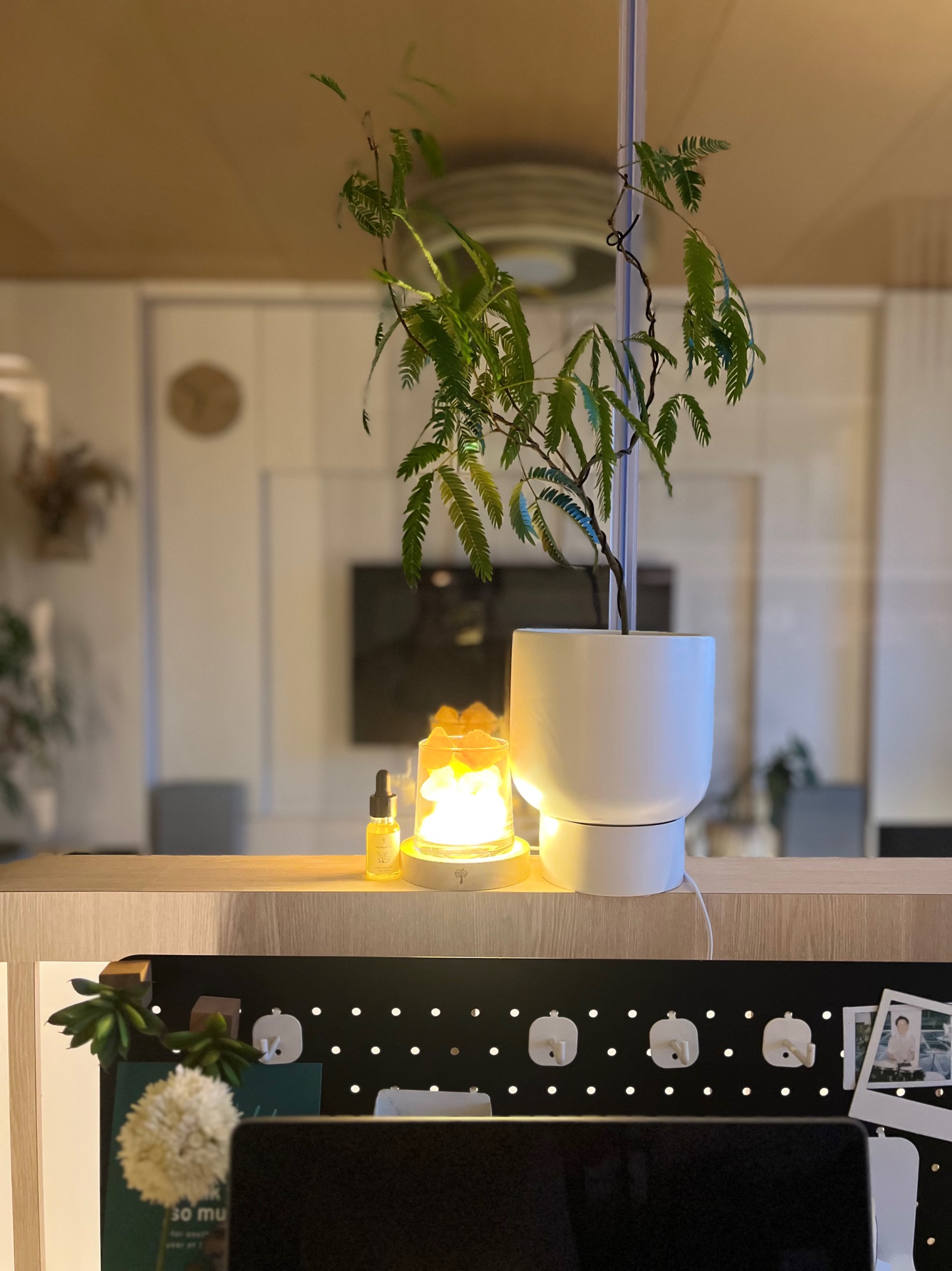 A scent that changes the whole mood 💛🧡🤎