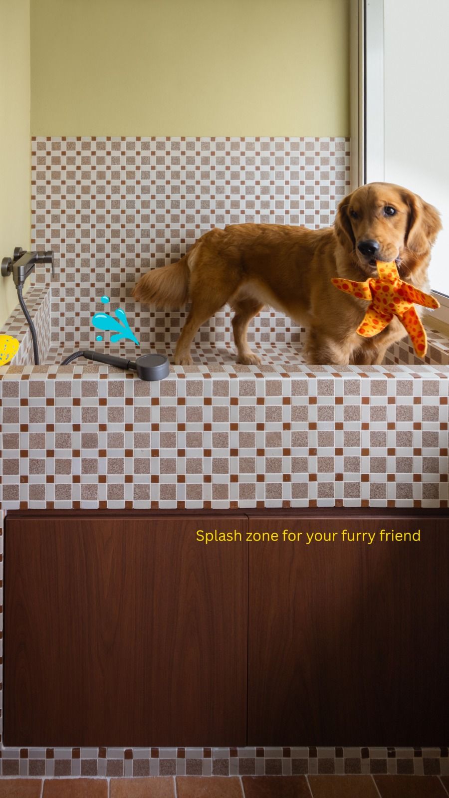 Mid Century Modern 5 room BTO at Bartley Beacon