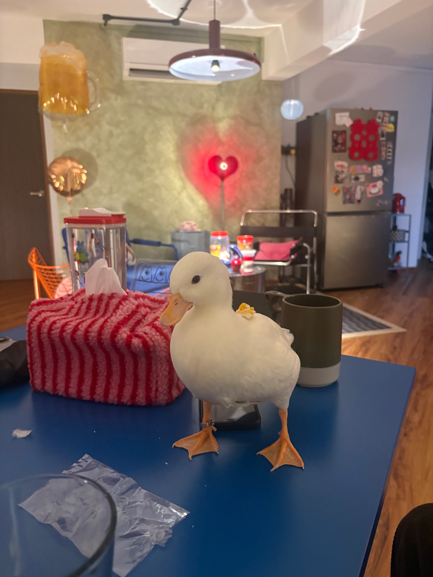 What I got from Communa’s S12 Event!