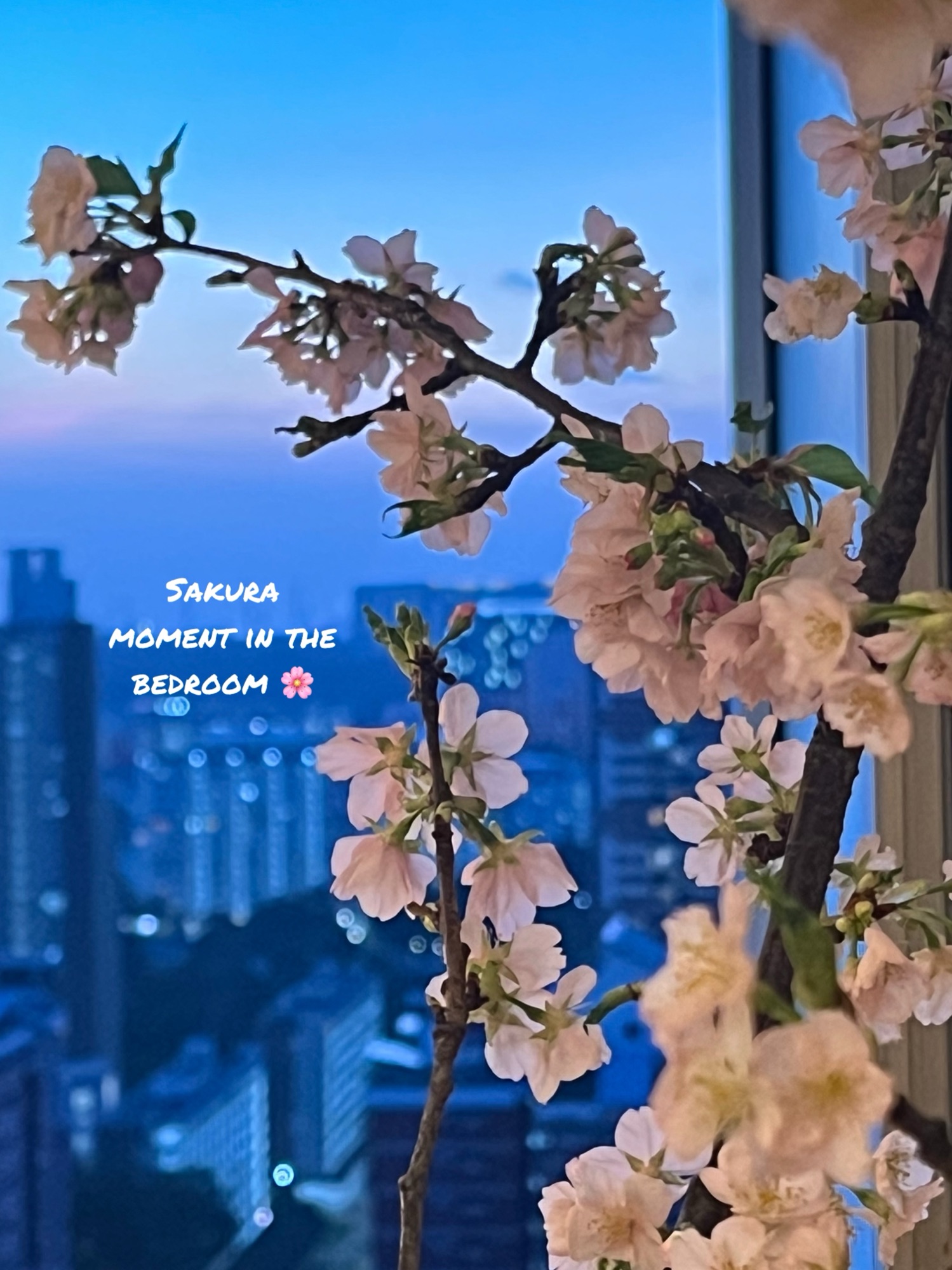 Little Moments From February 🌸🩷