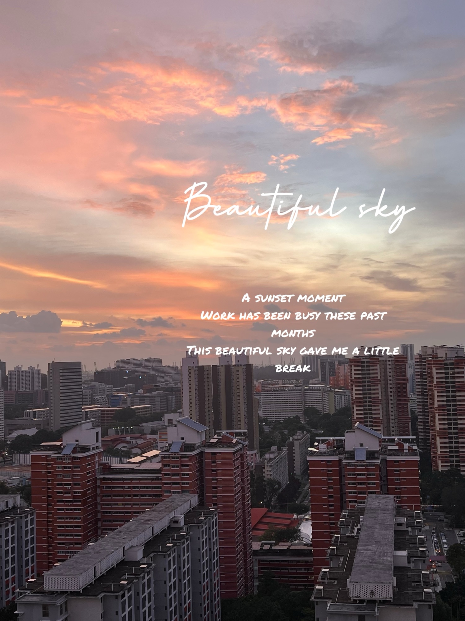 Little-Moments-From-February-🌸🩷