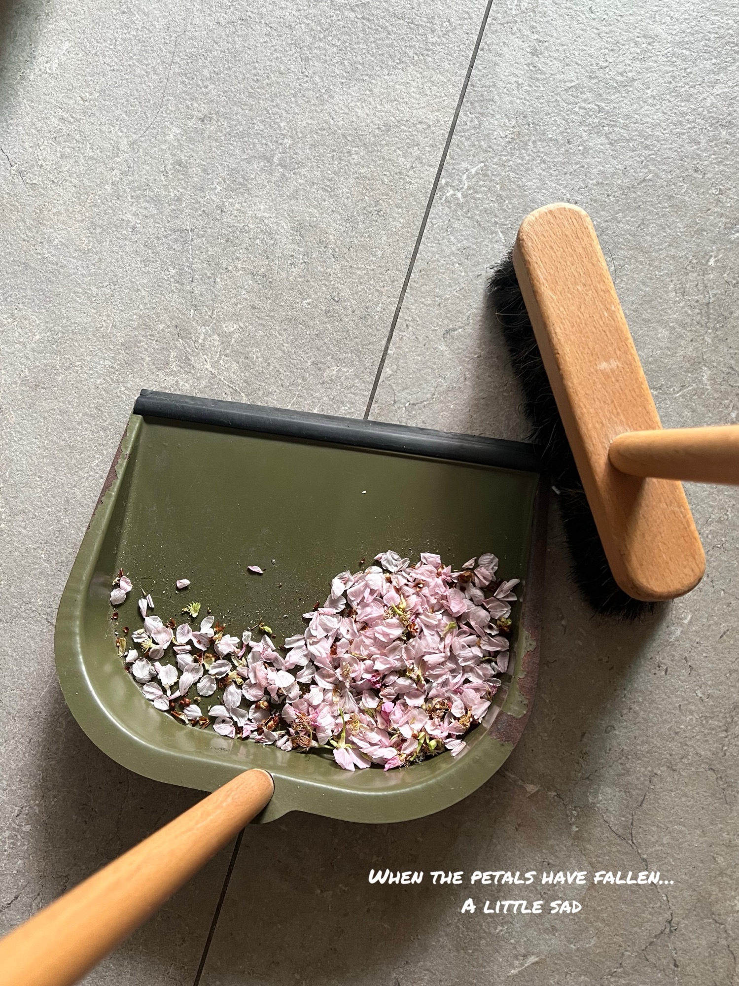 Little Moments From February 🌸🩷