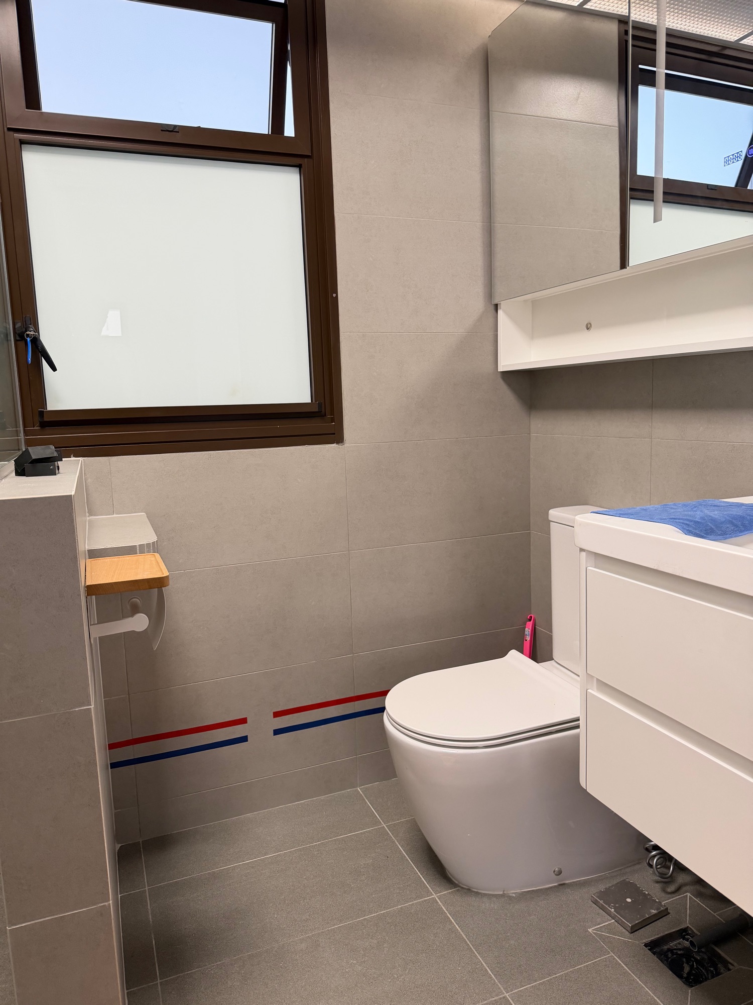 Master-toilet-reveal!